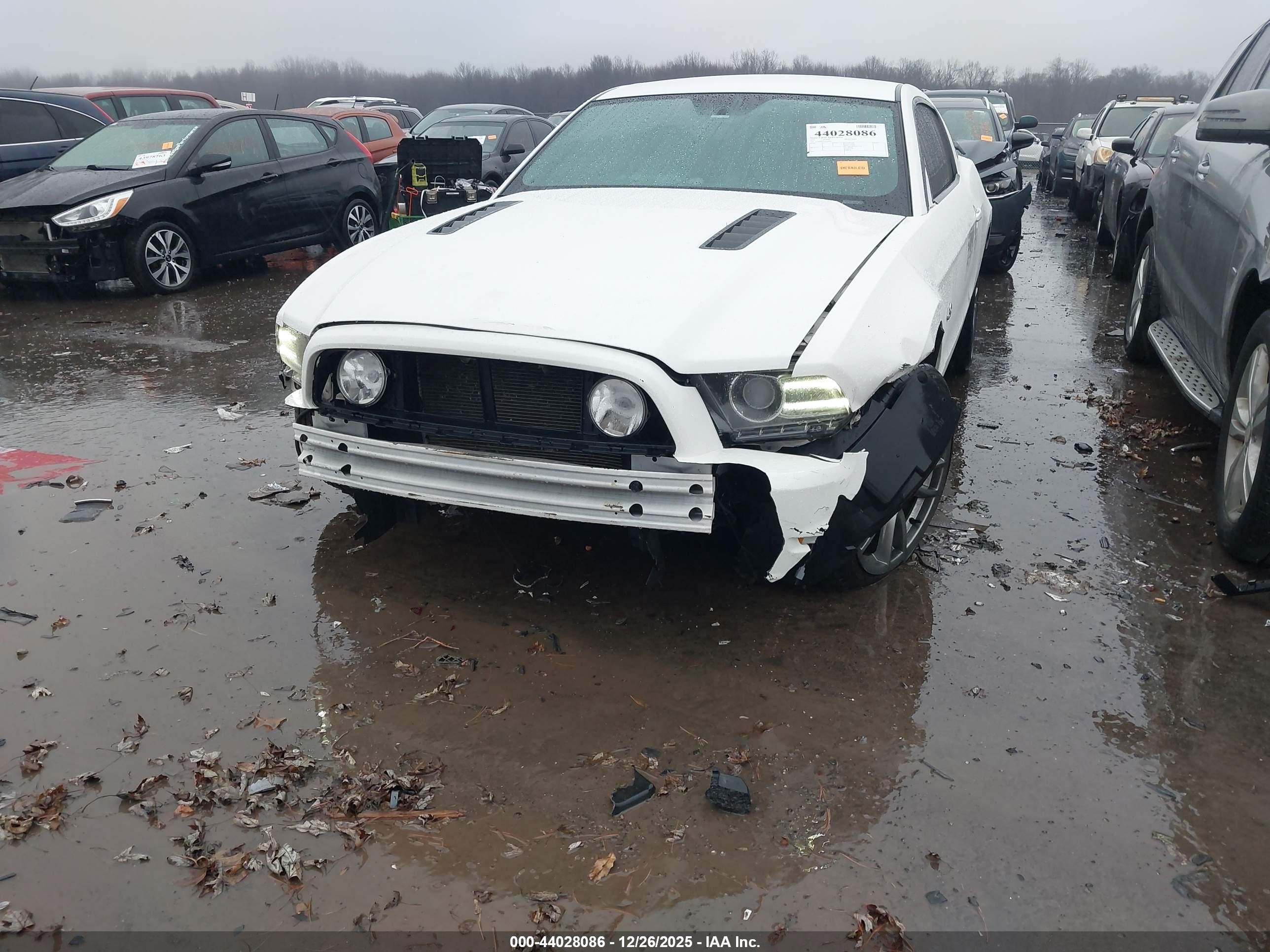 FORD MUSTANG image 6