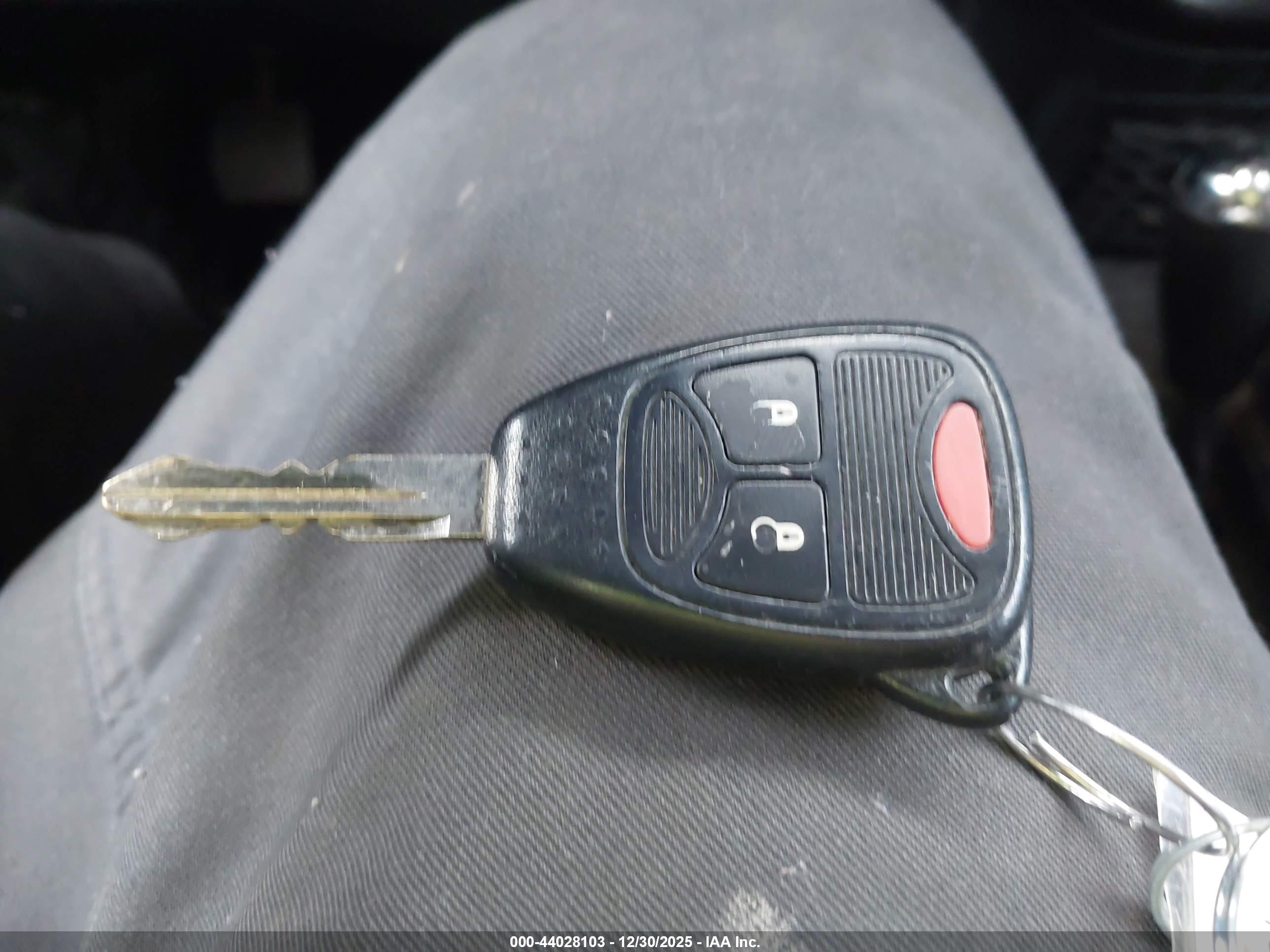 JEEP WRANGLER image 11