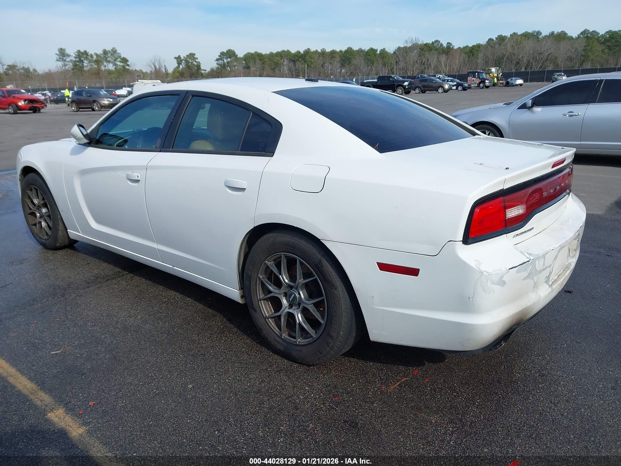 DODGE CHARGER image 3