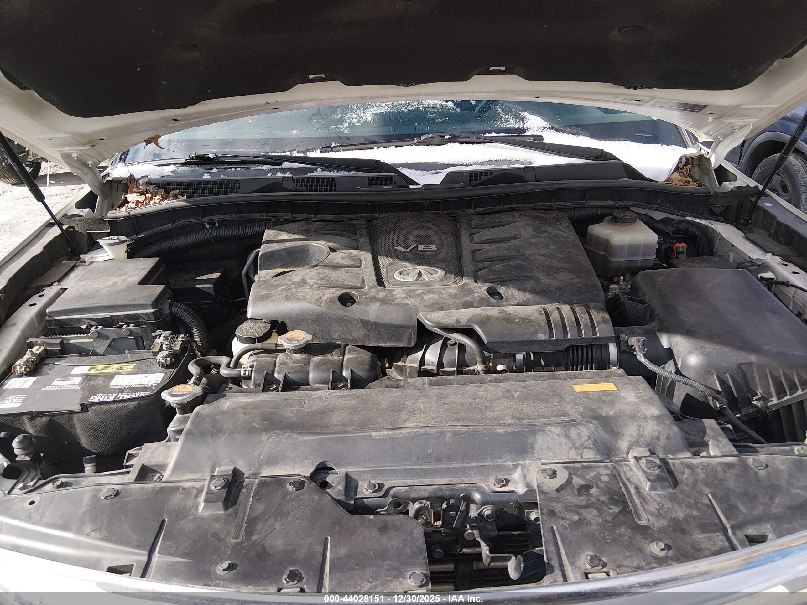 INFINITI QX80 image 10