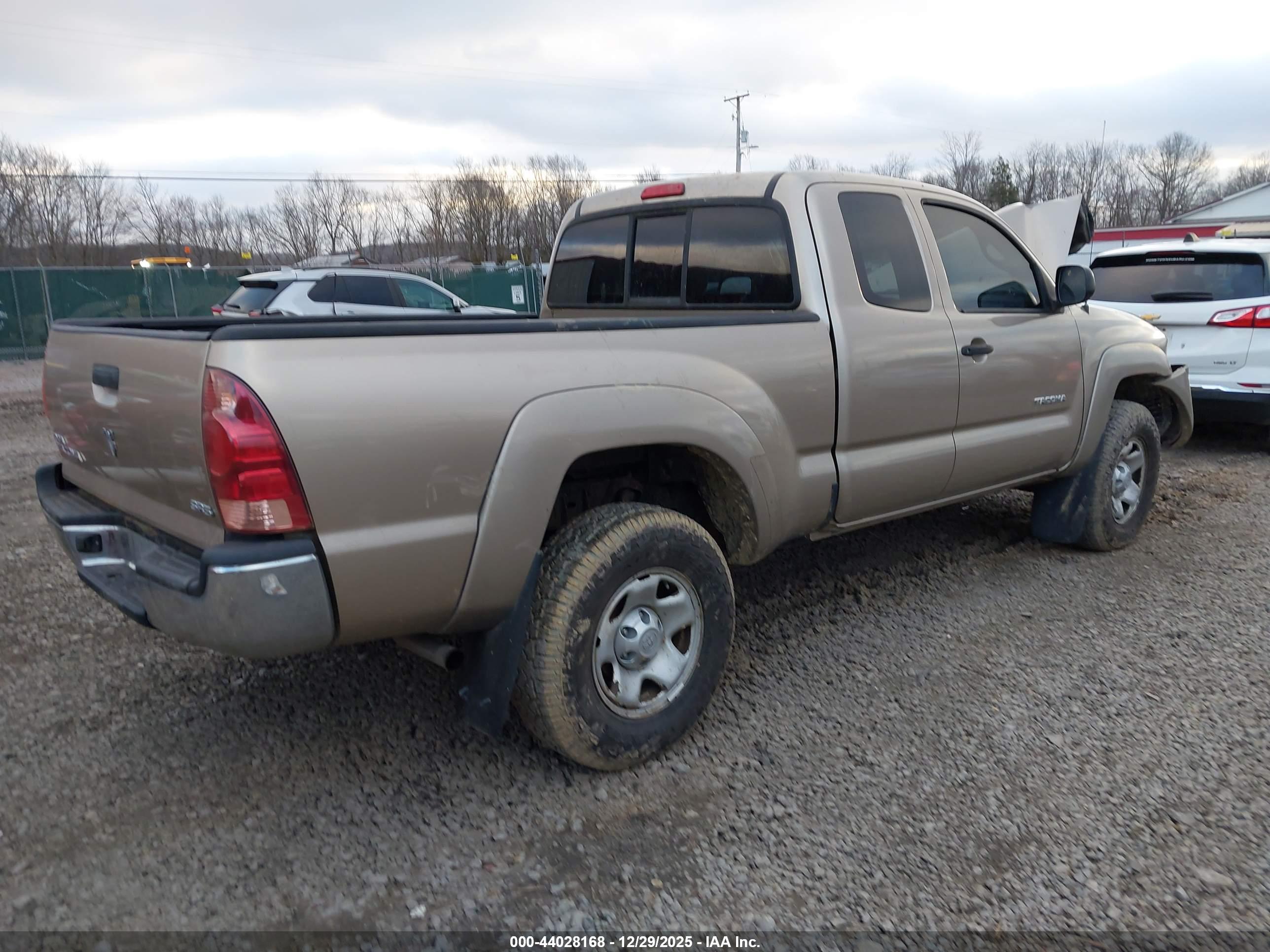TOYOTA TACOMA image 4