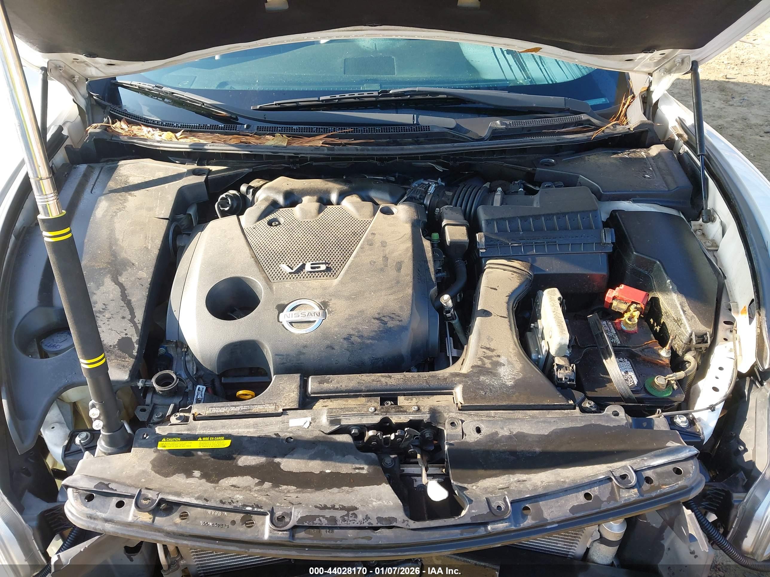 NISSAN MAXIMA image 10