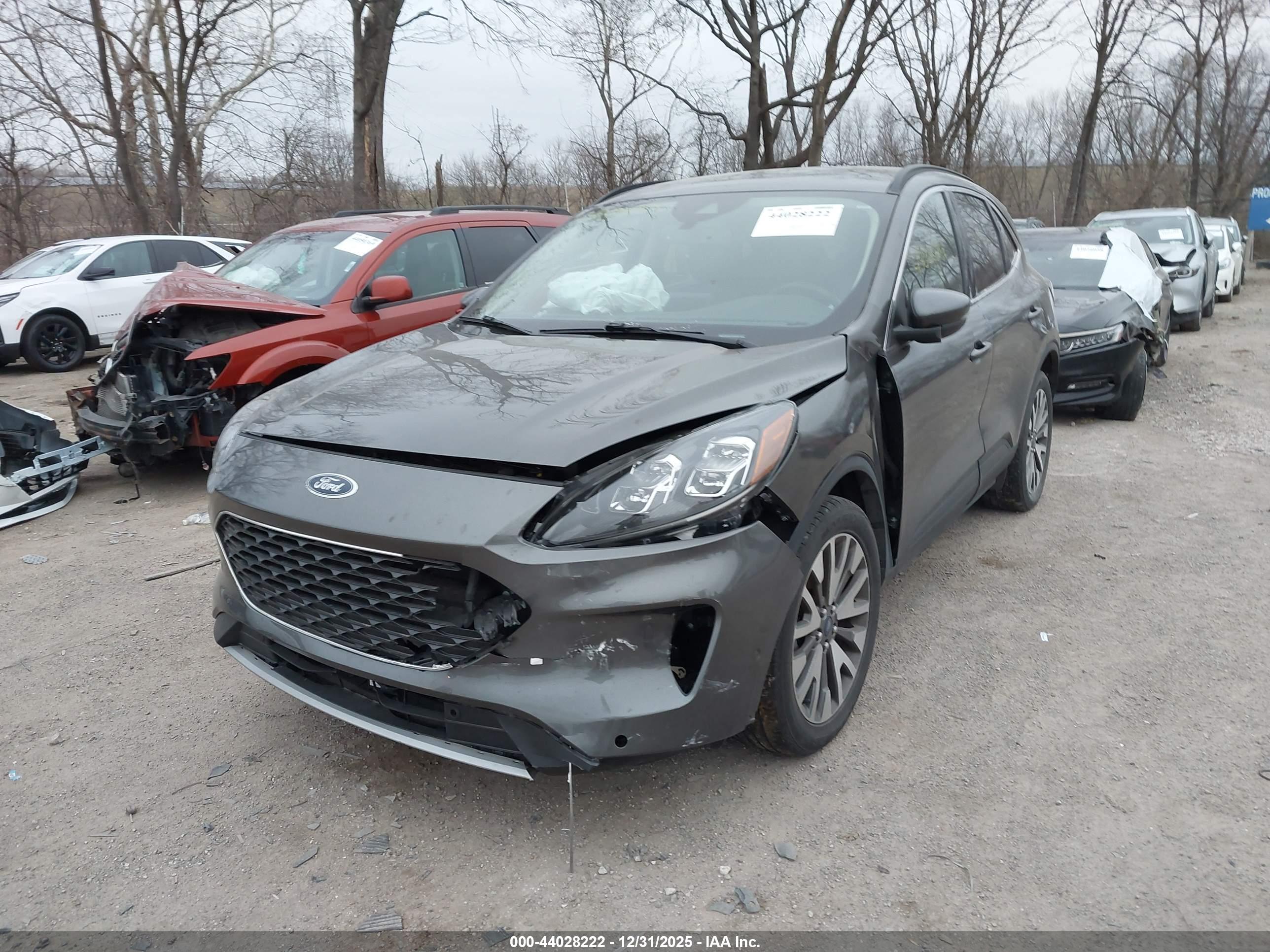 FORD ESCAPE image 2