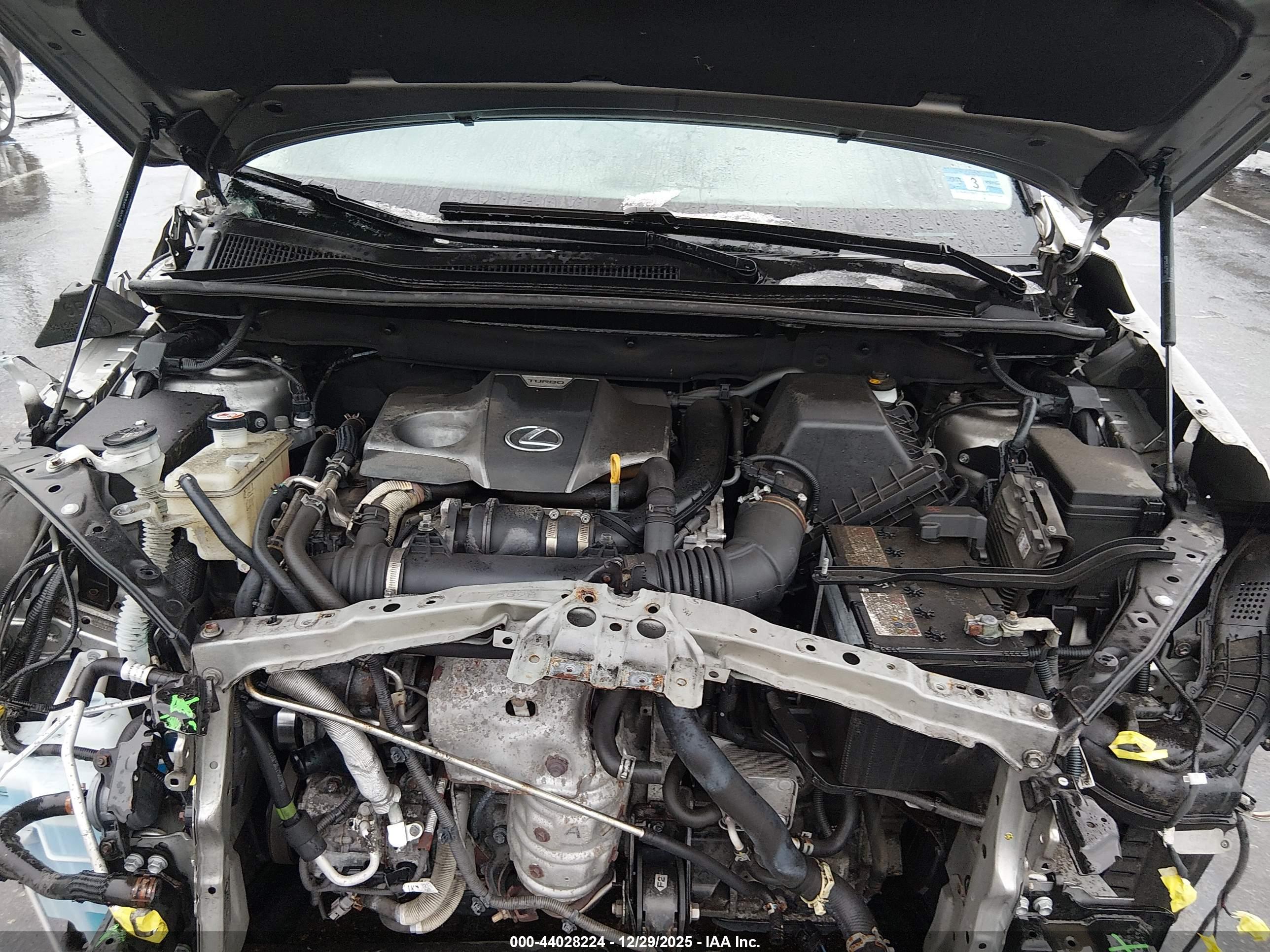 LEXUS NX image 10