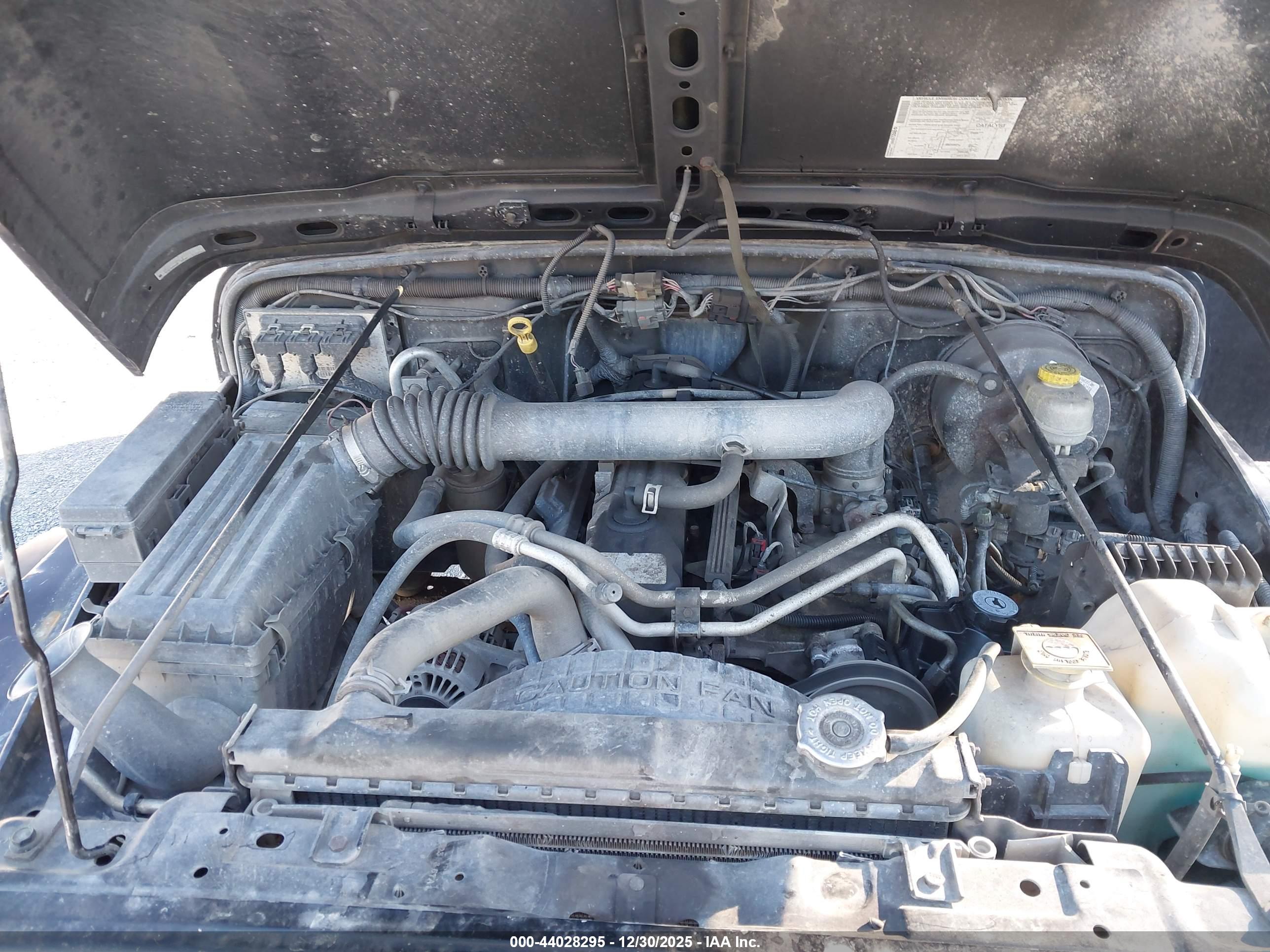 JEEP WRANGLER image 10