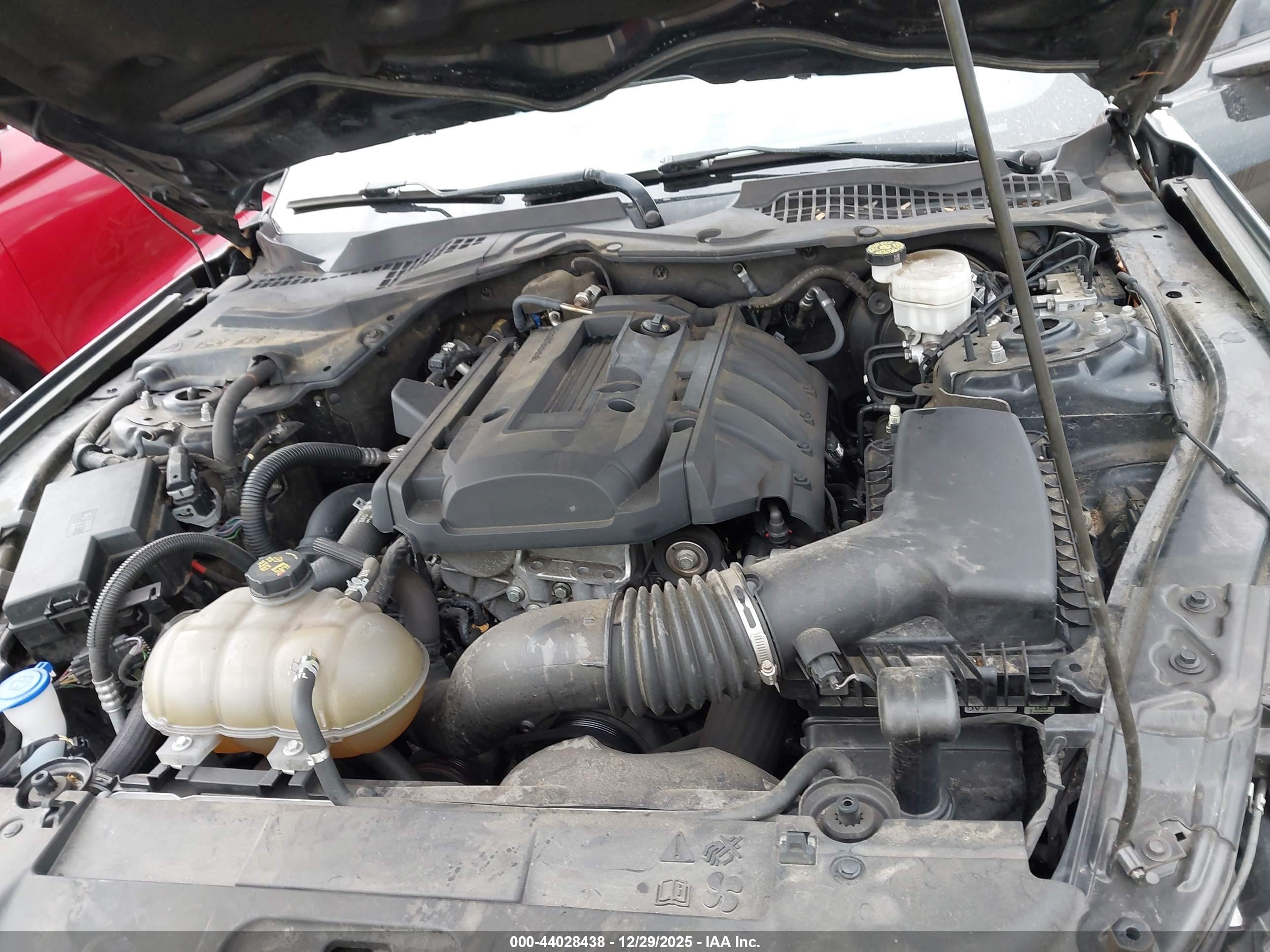 FORD MUSTANG image 10