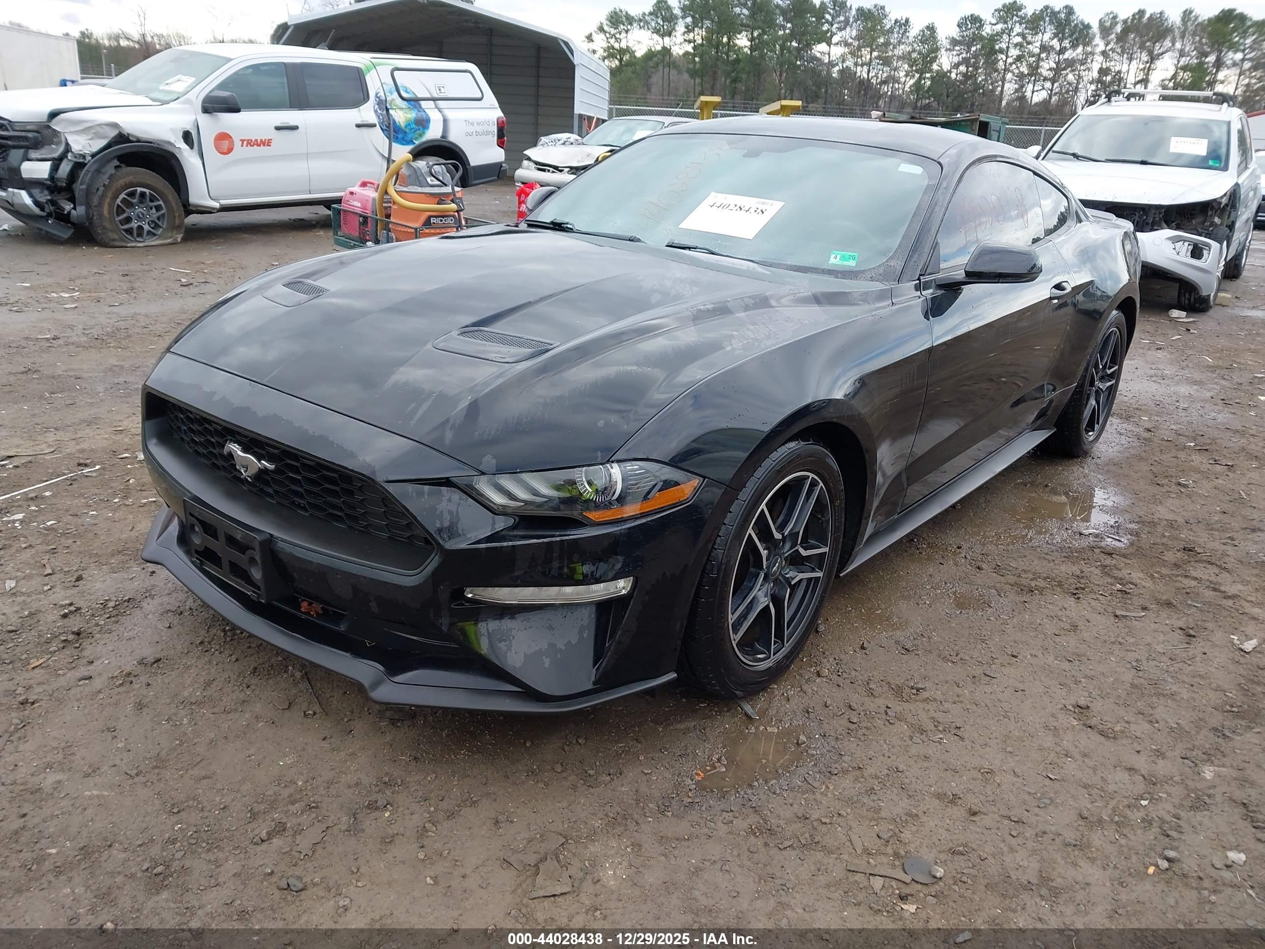 FORD MUSTANG image 2