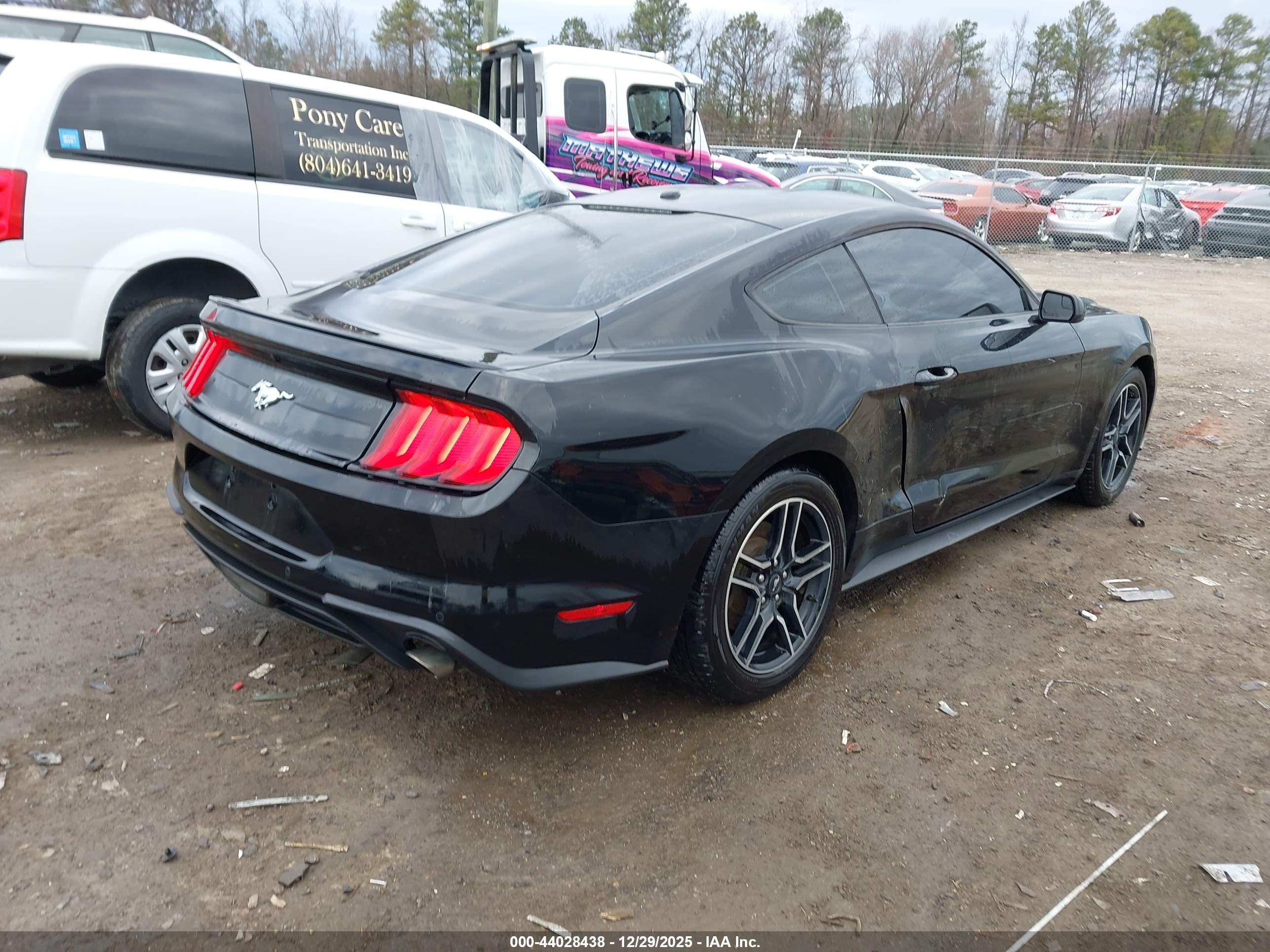 FORD MUSTANG image 4