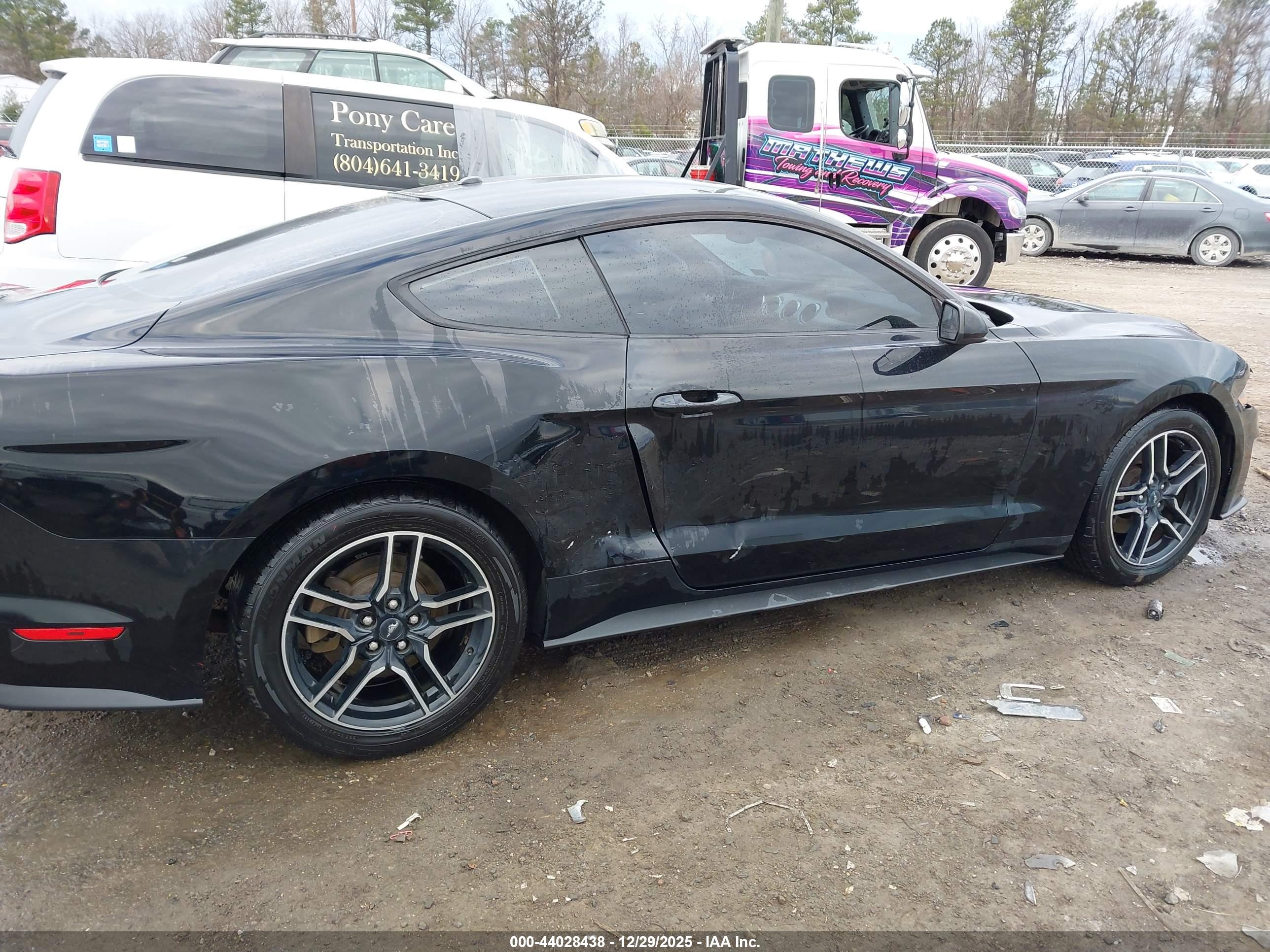 FORD MUSTANG image 6