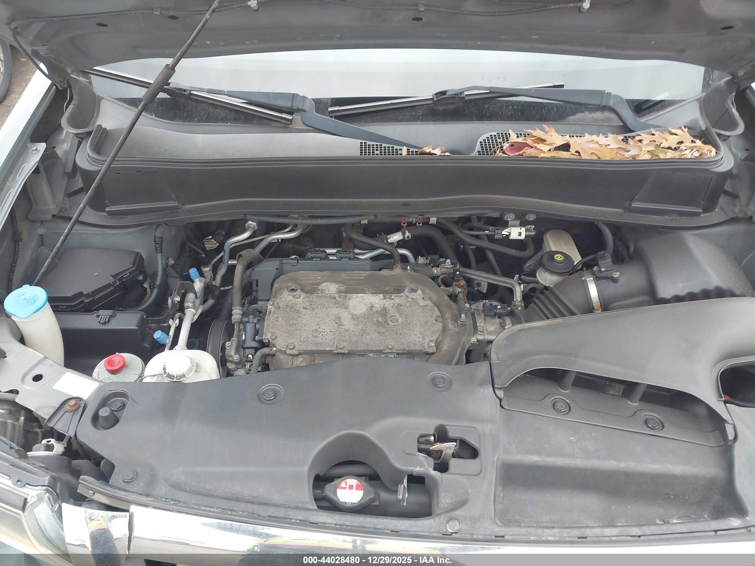 HONDA PILOT image 10