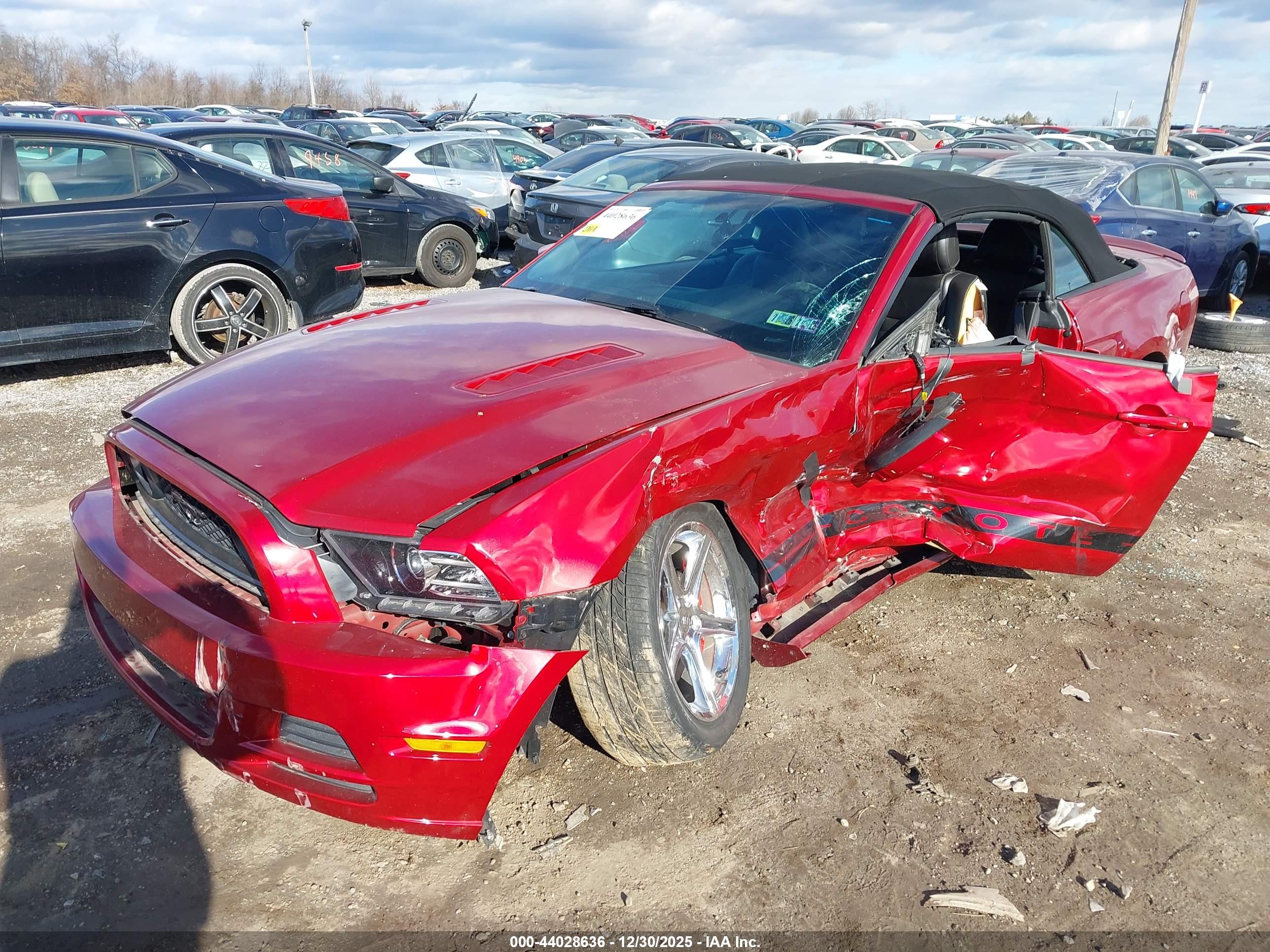 FORD MUSTANG image 2