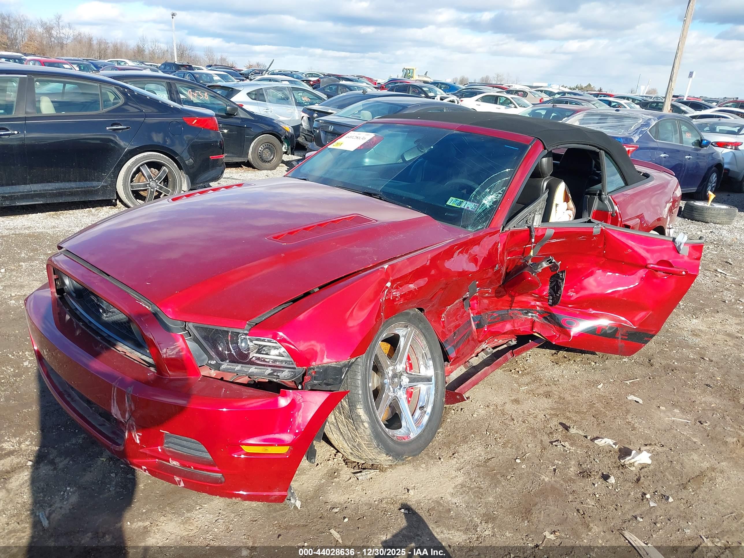 FORD MUSTANG image 6