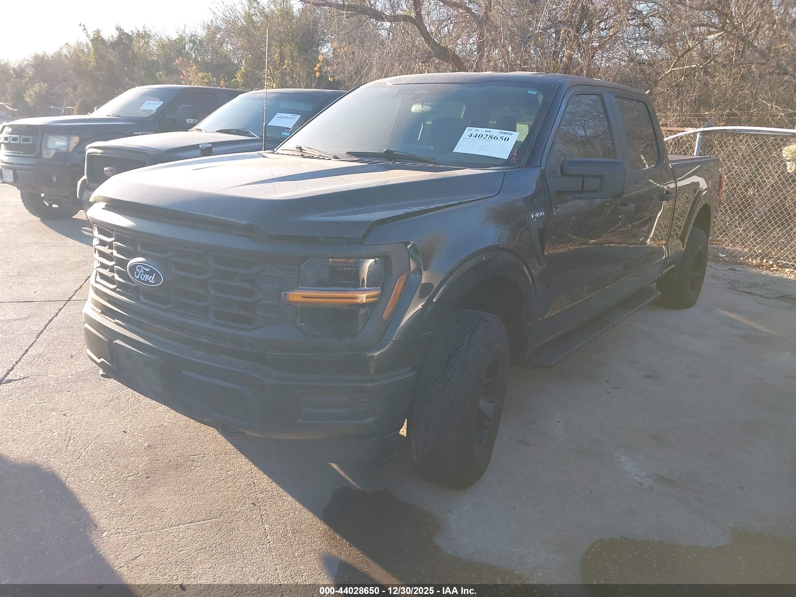 FORD F-150 image 2