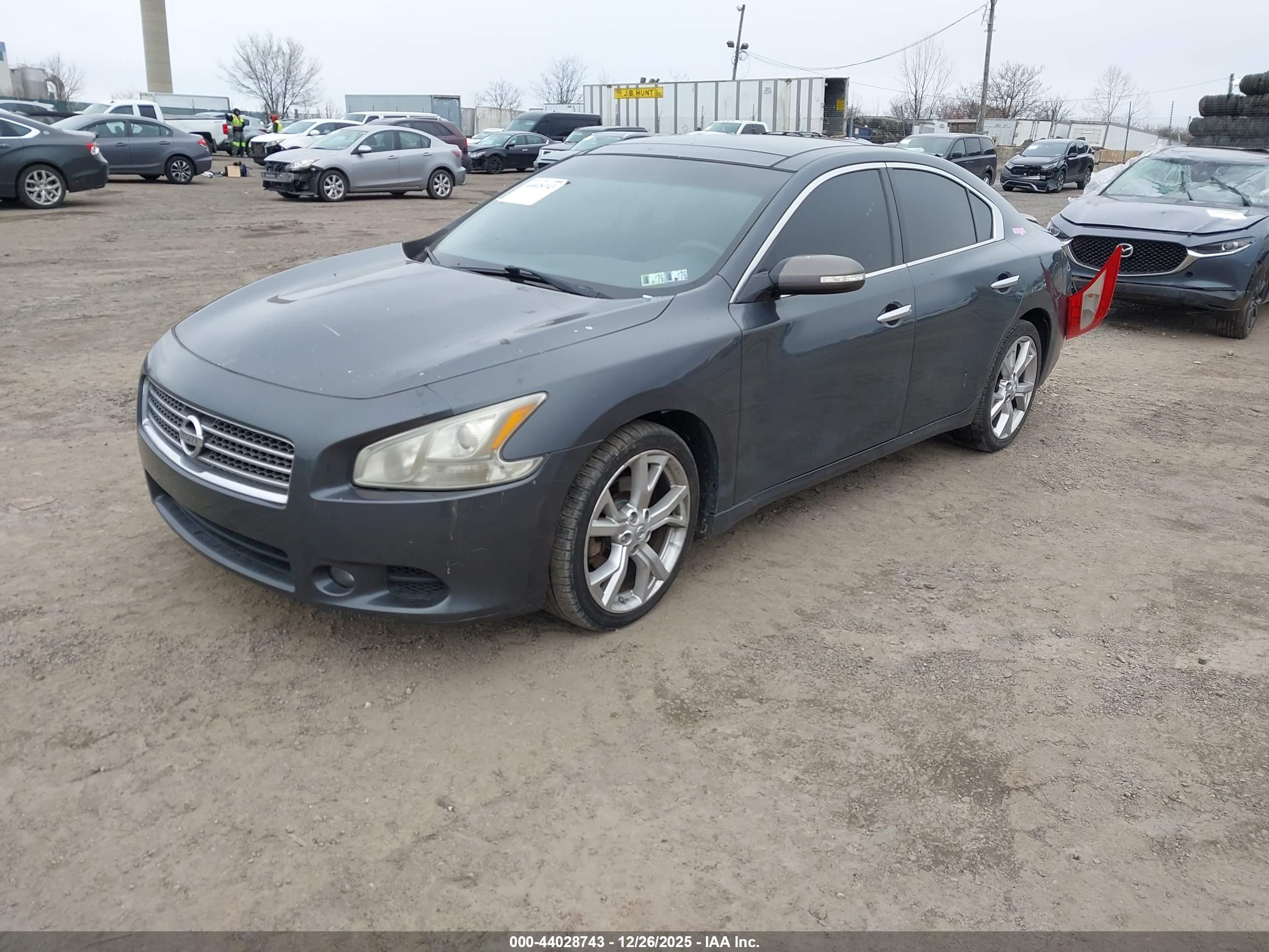 NISSAN MAXIMA image 2
