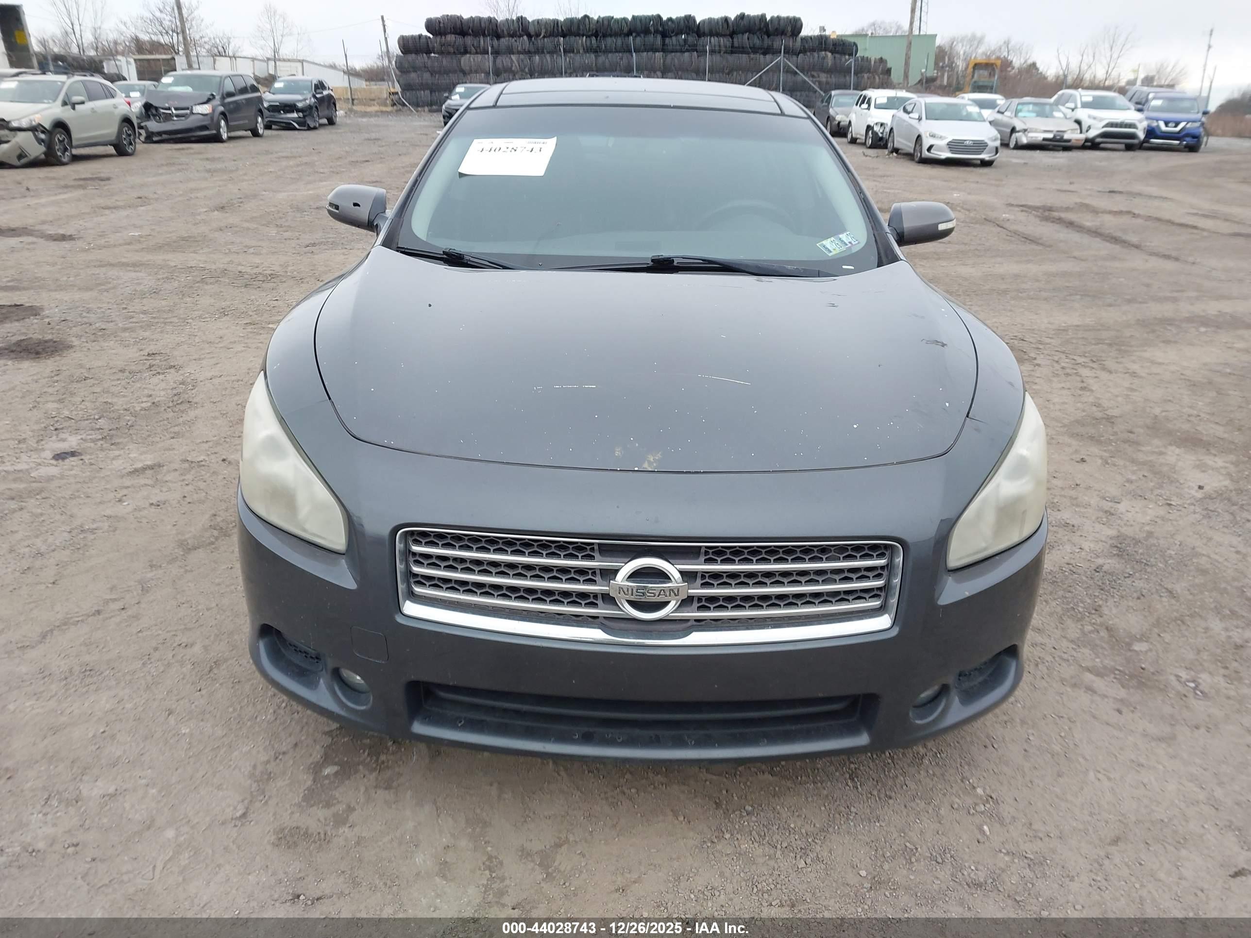 NISSAN MAXIMA image 6