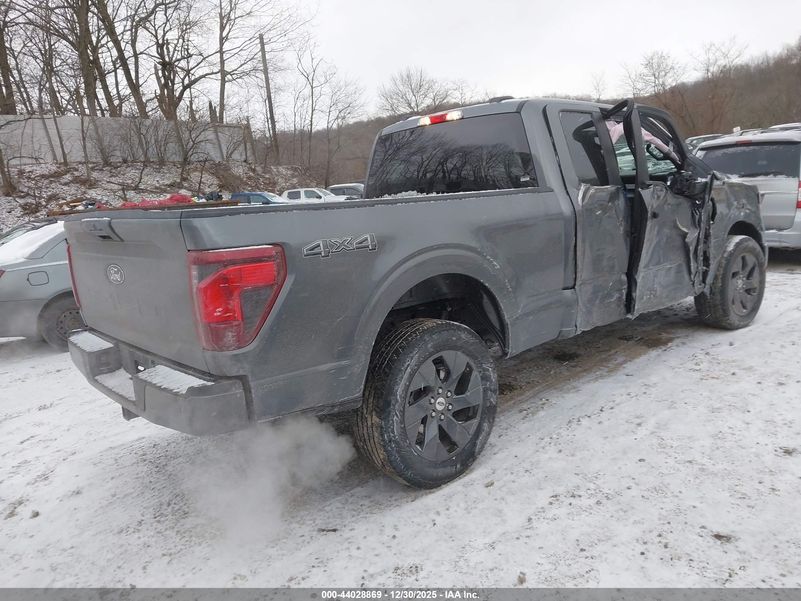 FORD F-150 image 4