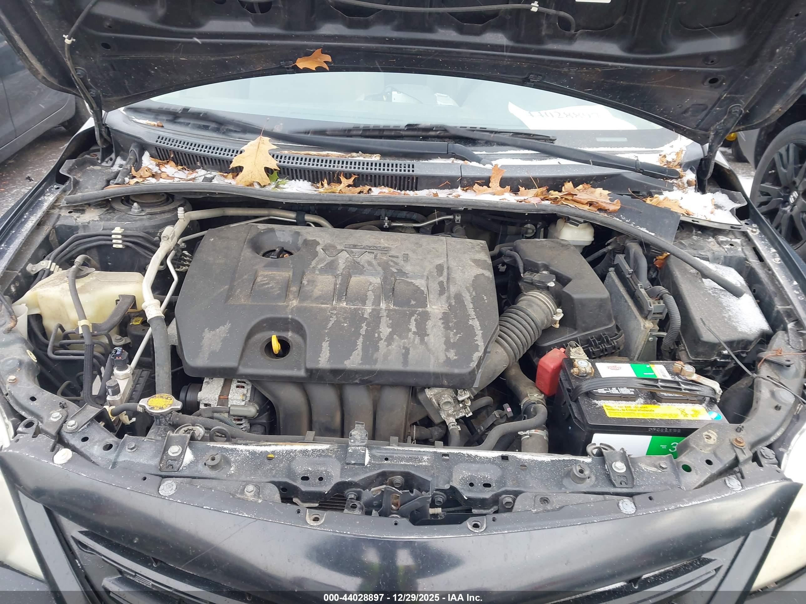 TOYOTA COROLLA image 10