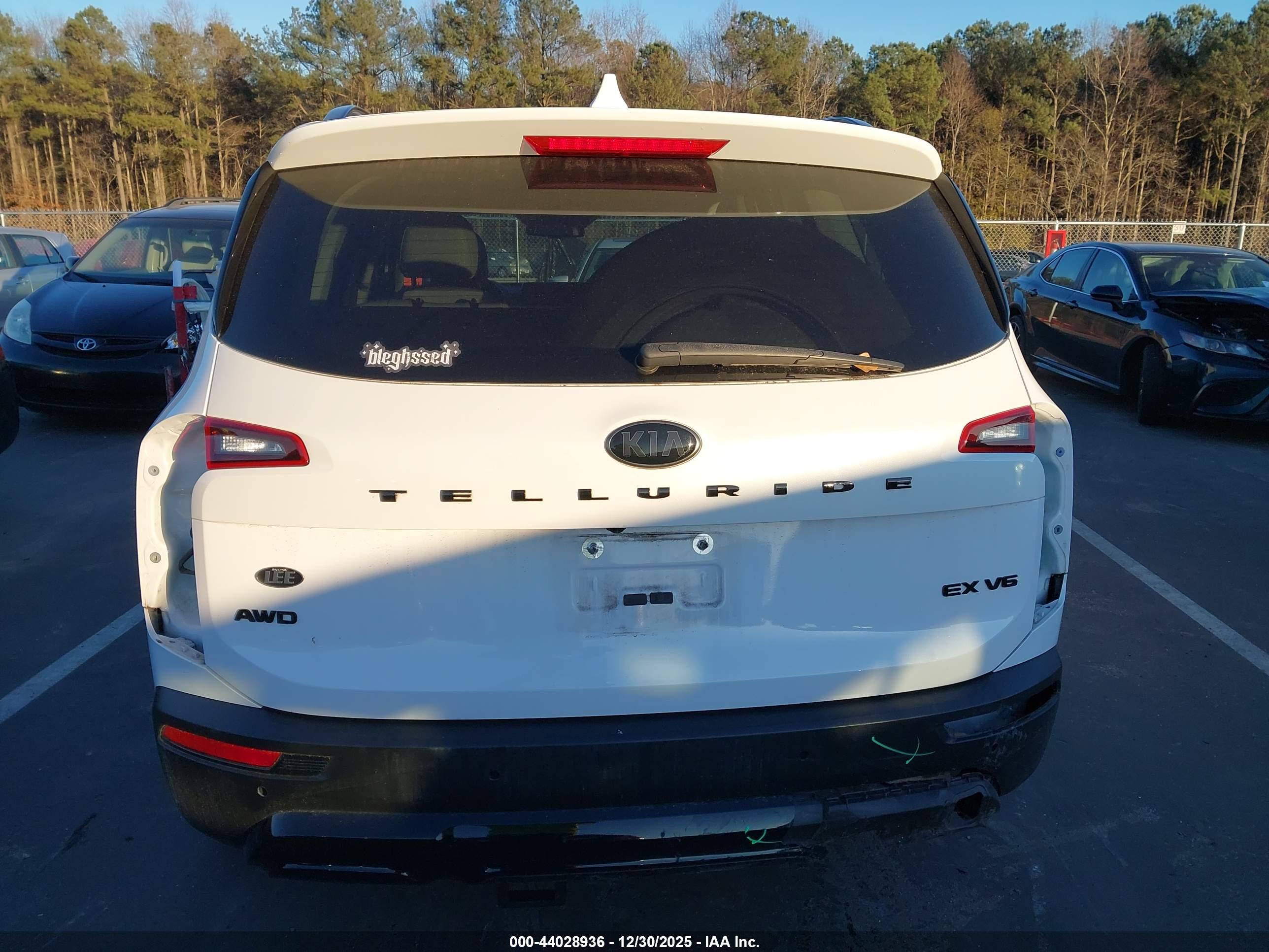 KIA TELLURIDE image 6
