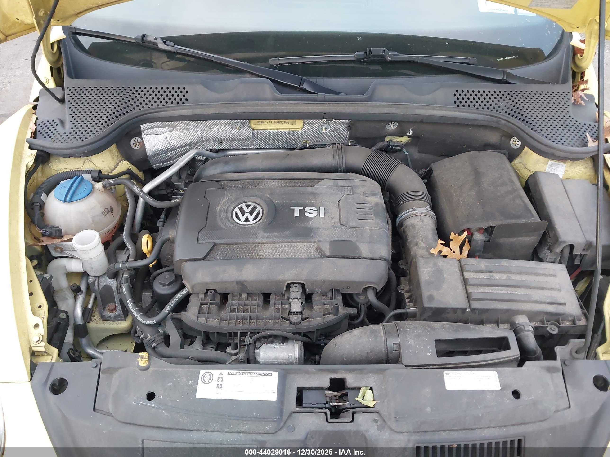 VOLKSWAGEN BEETLE image 10