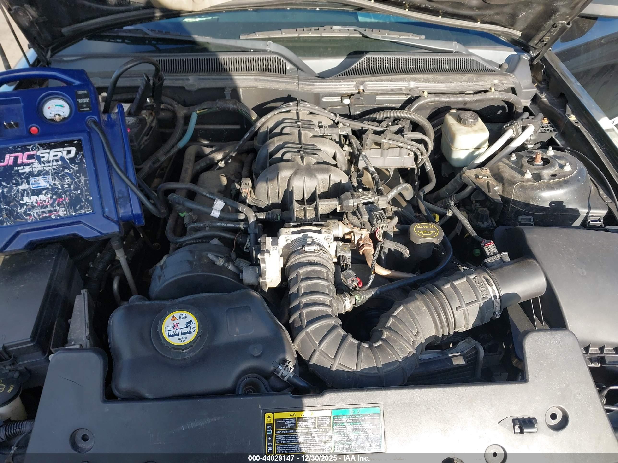 FORD MUSTANG image 10
