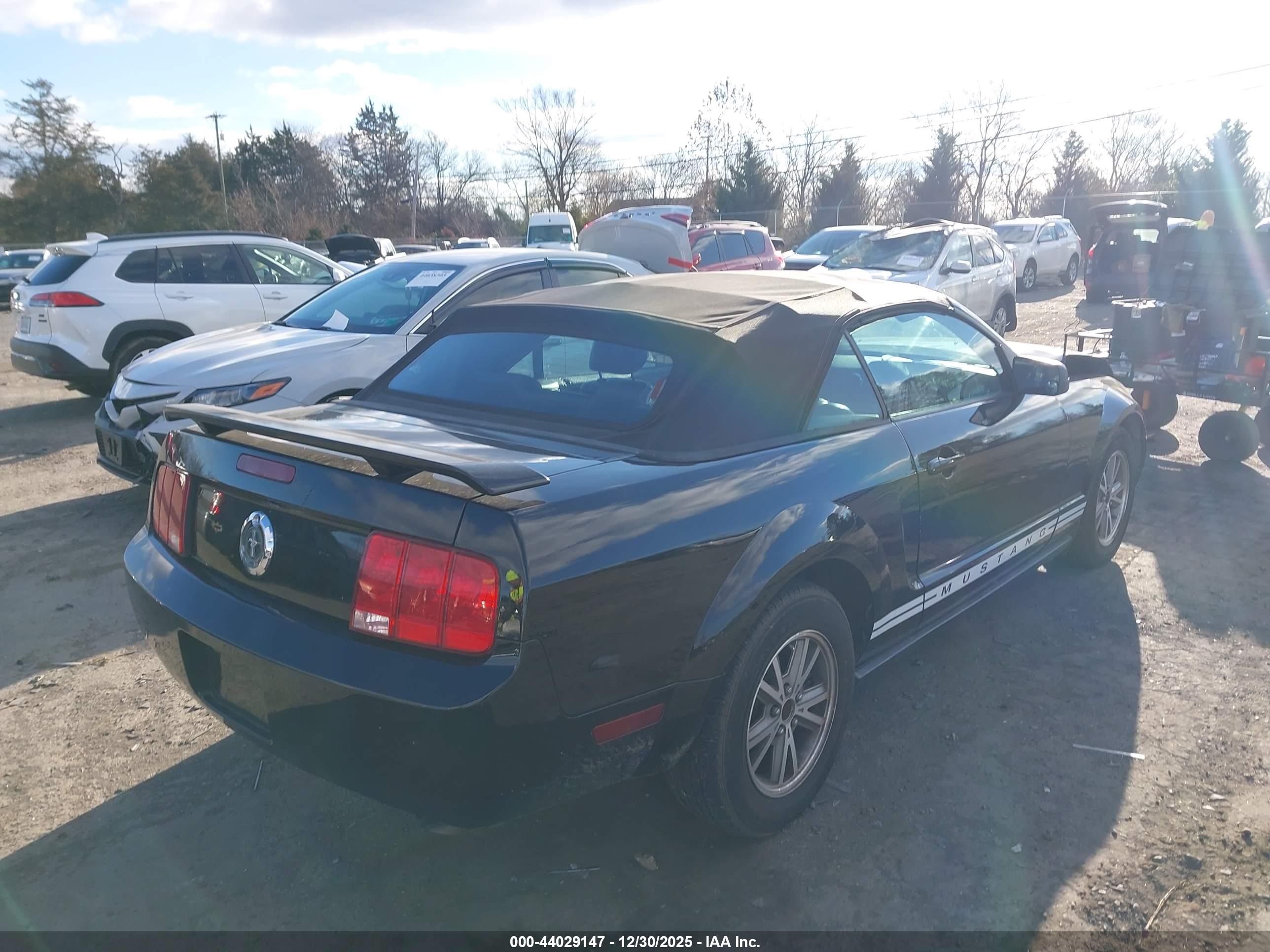 FORD MUSTANG image 4