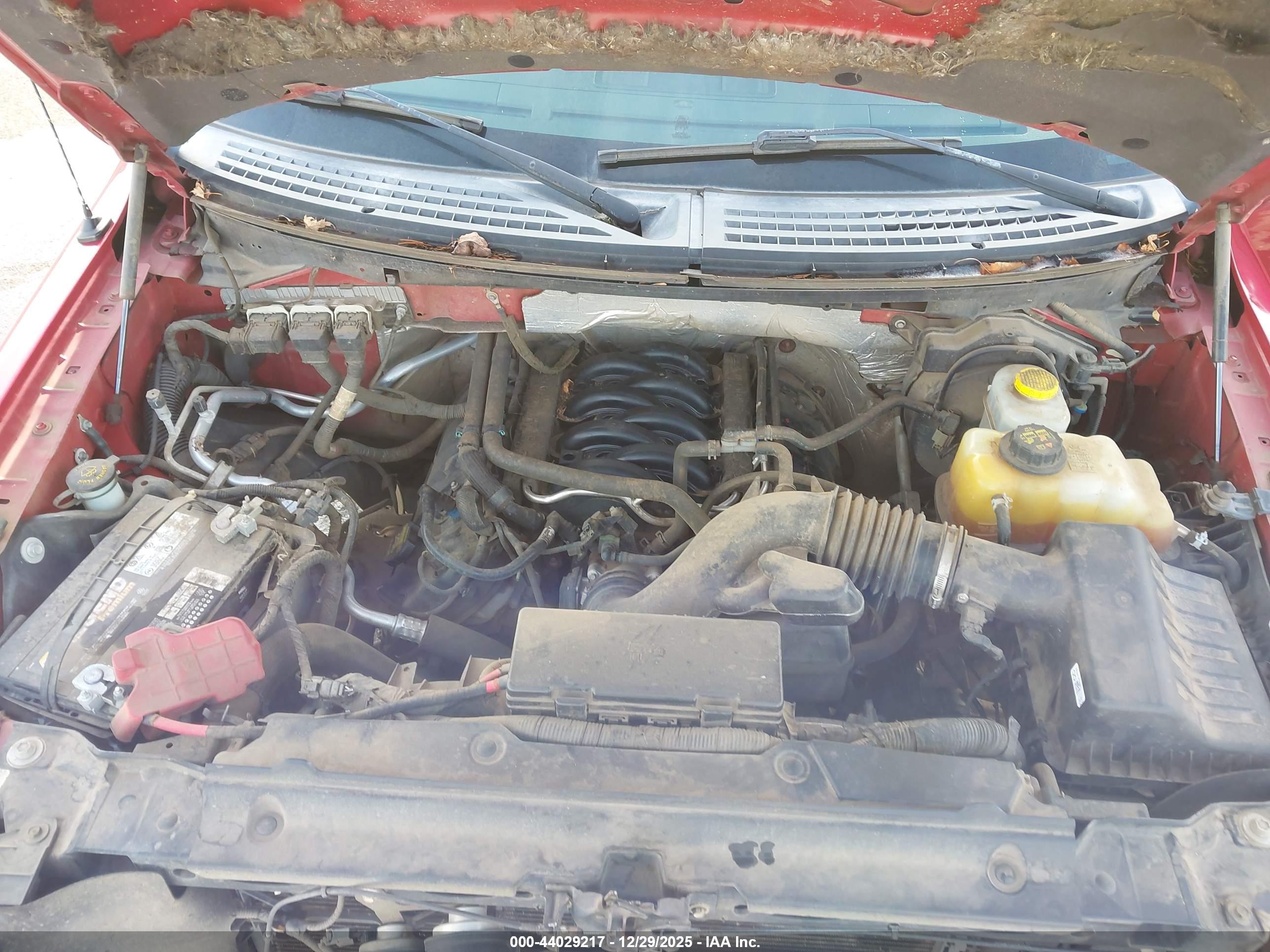 FORD F-150 image 10