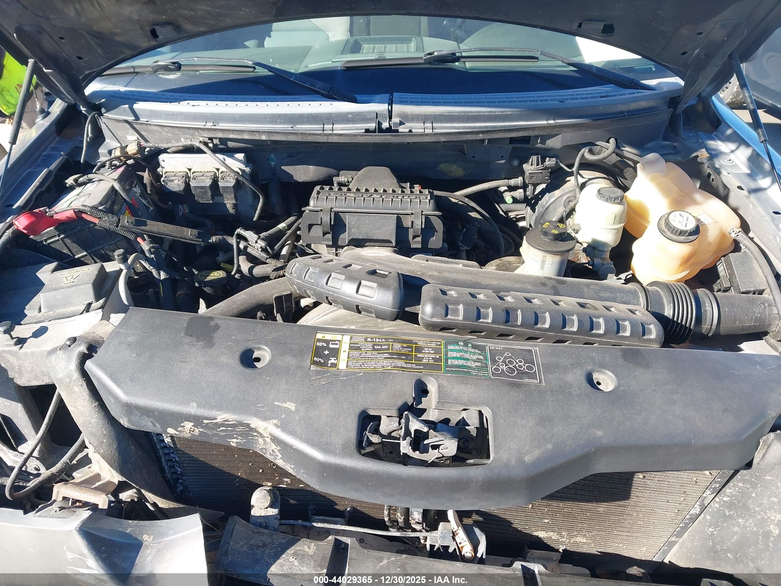 FORD F-150 image 10