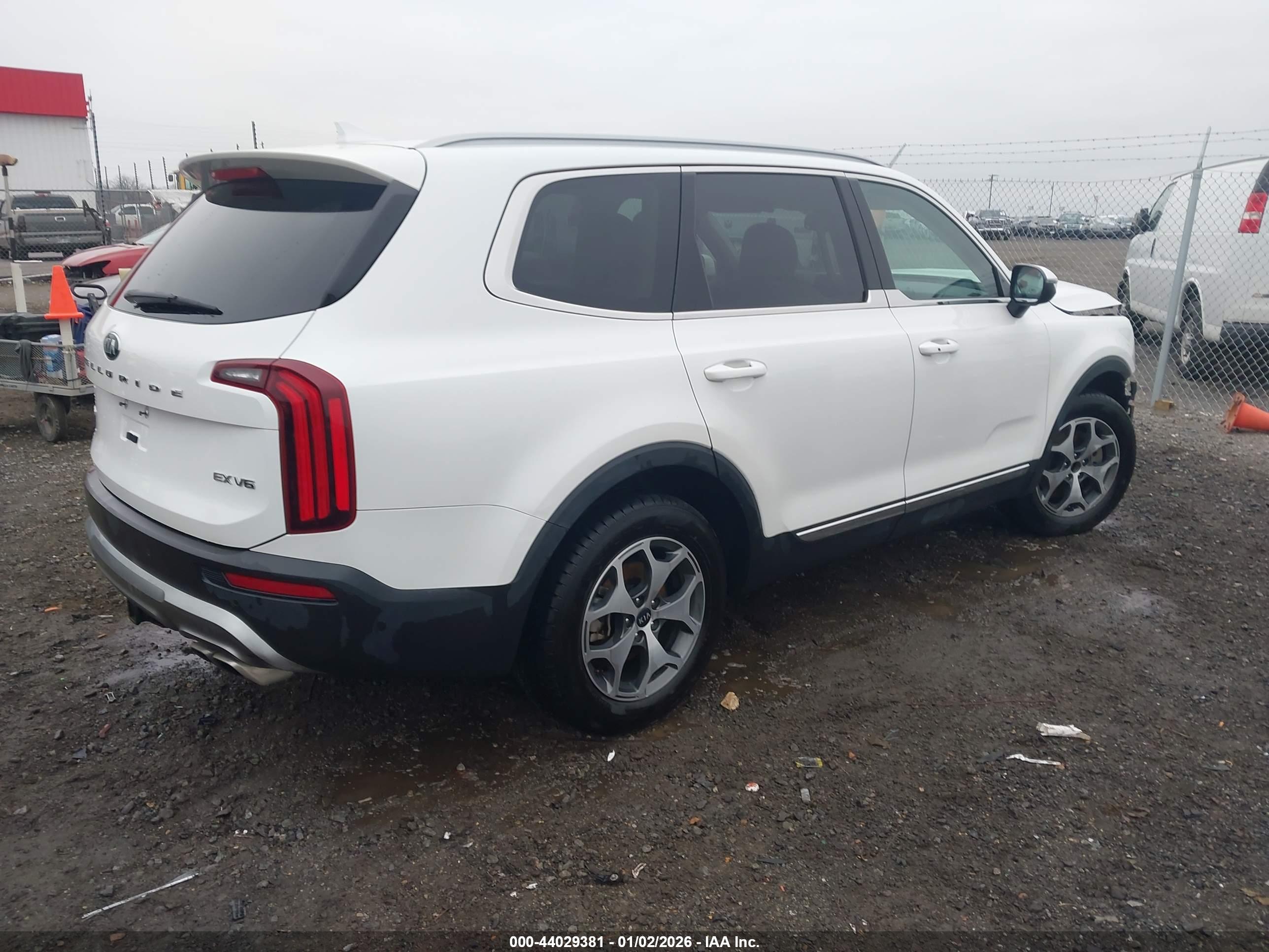 KIA TELLURIDE image 4