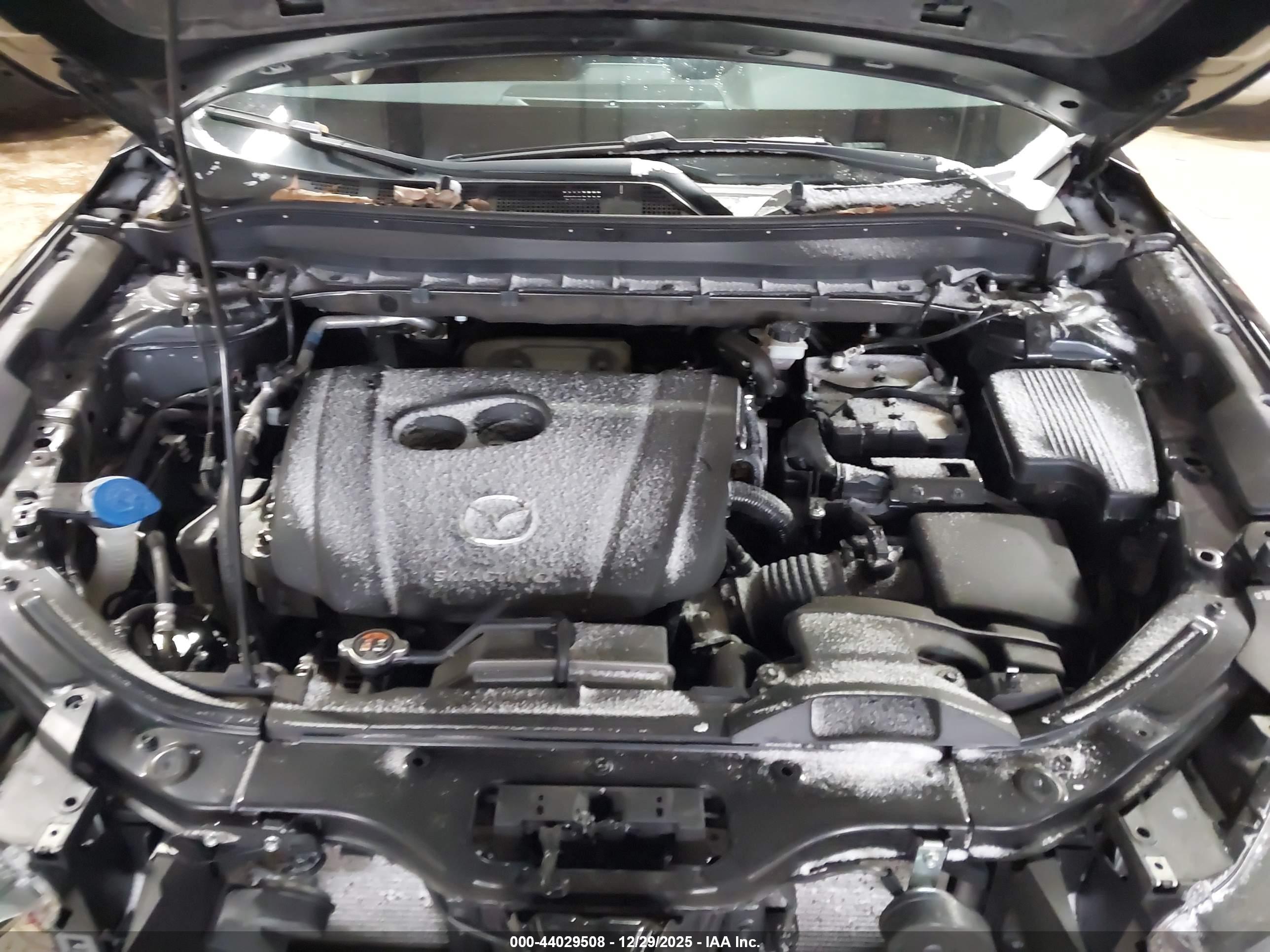 MAZDA CX-5 image 10