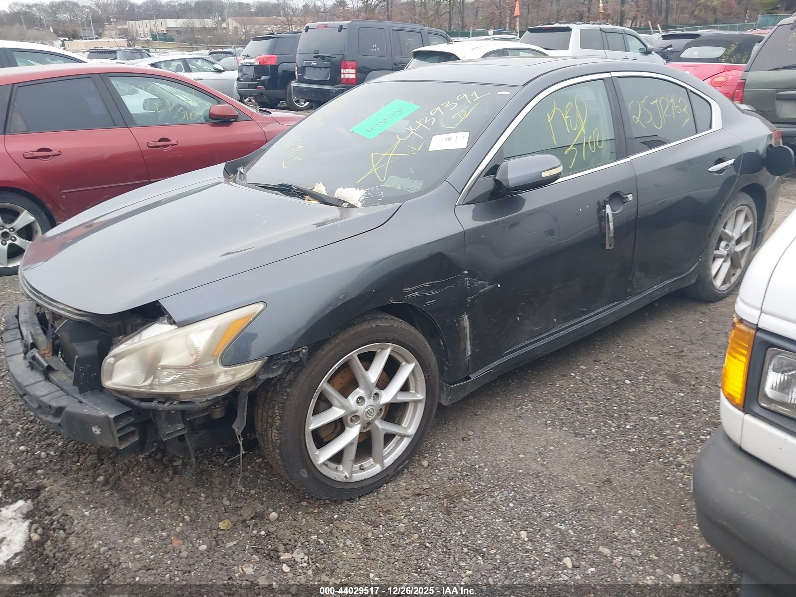 NISSAN MAXIMA image 2