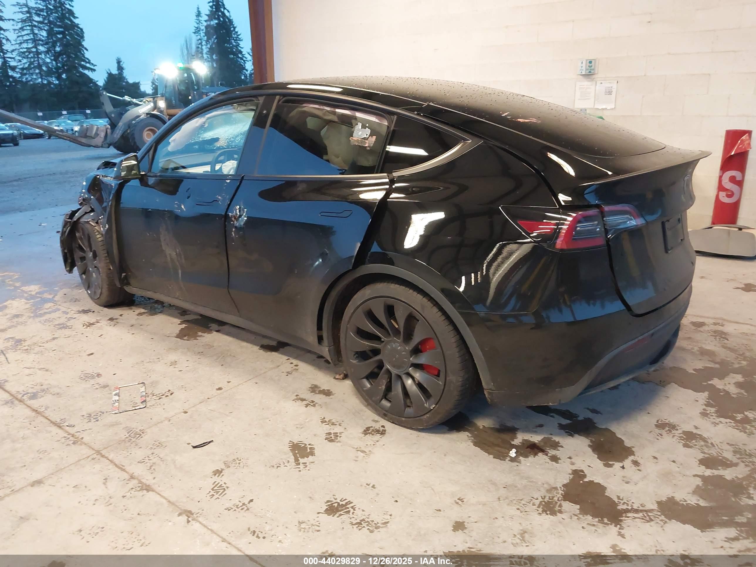 TESLA MODEL image 3