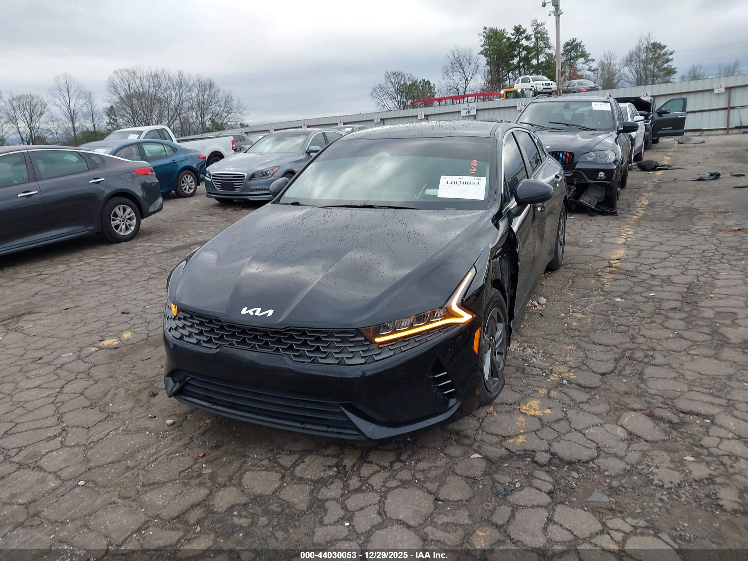 KIA K5 image 2
