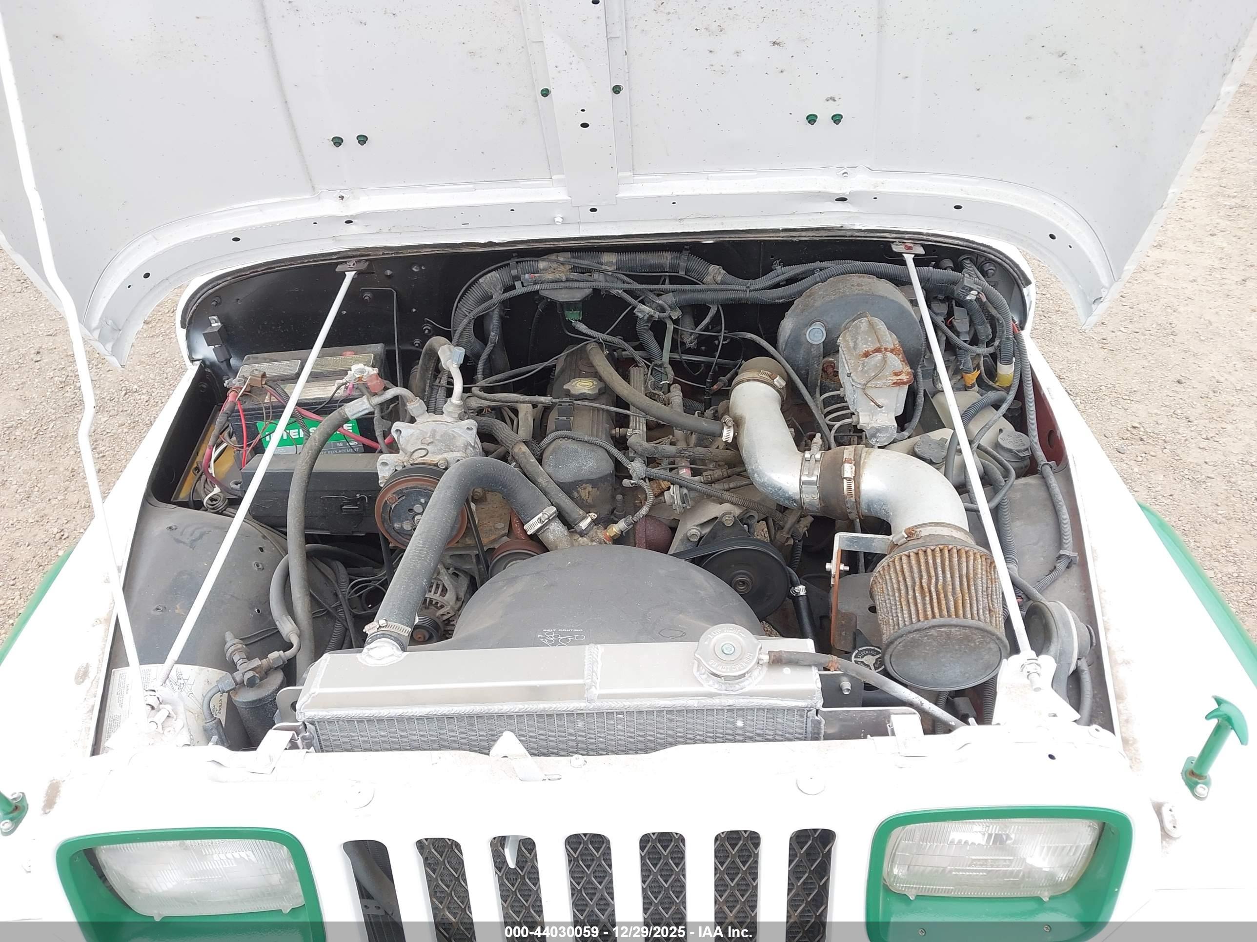 JEEP WRANGLER image 10
