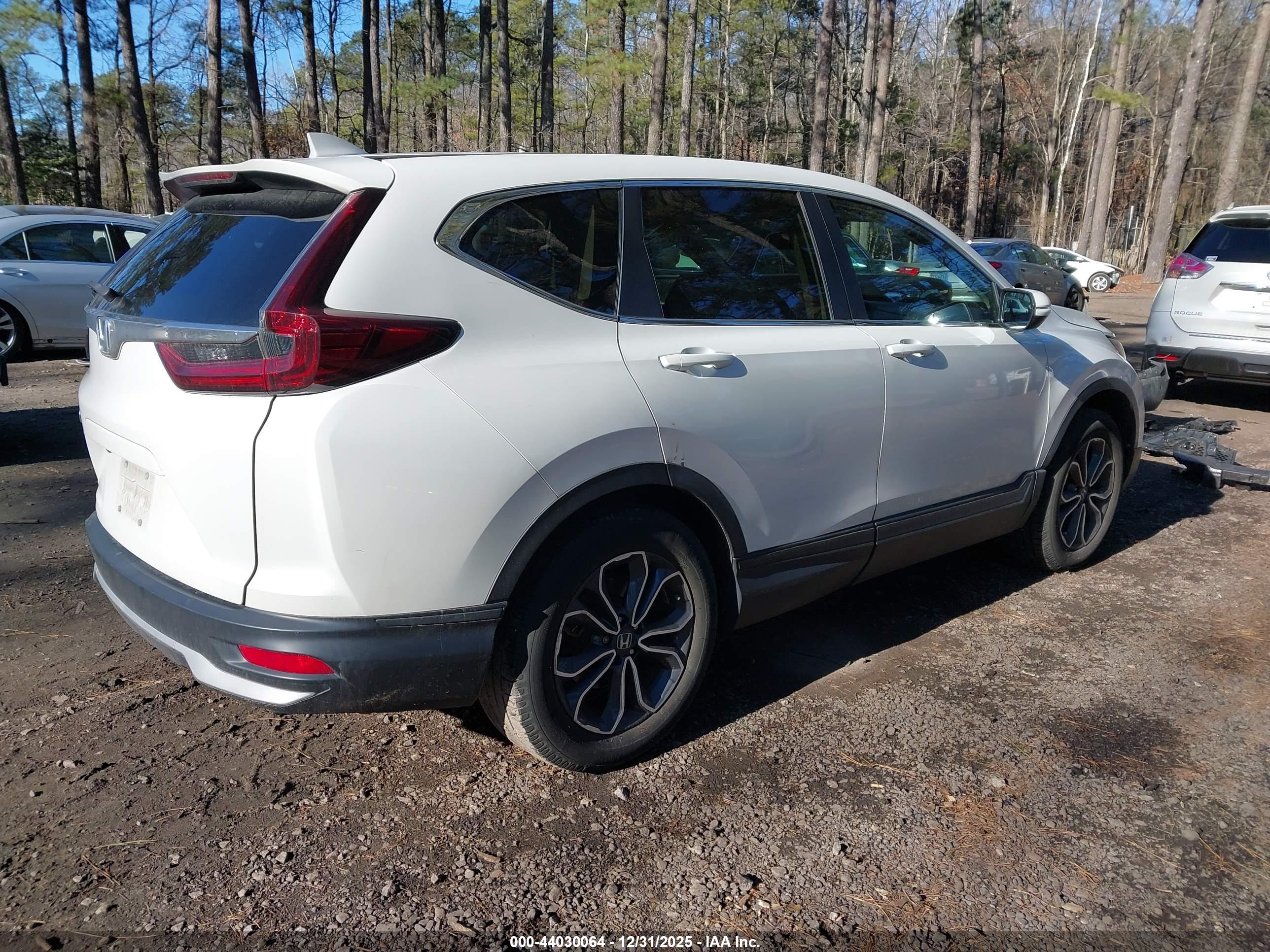 HONDA CR-V image 4