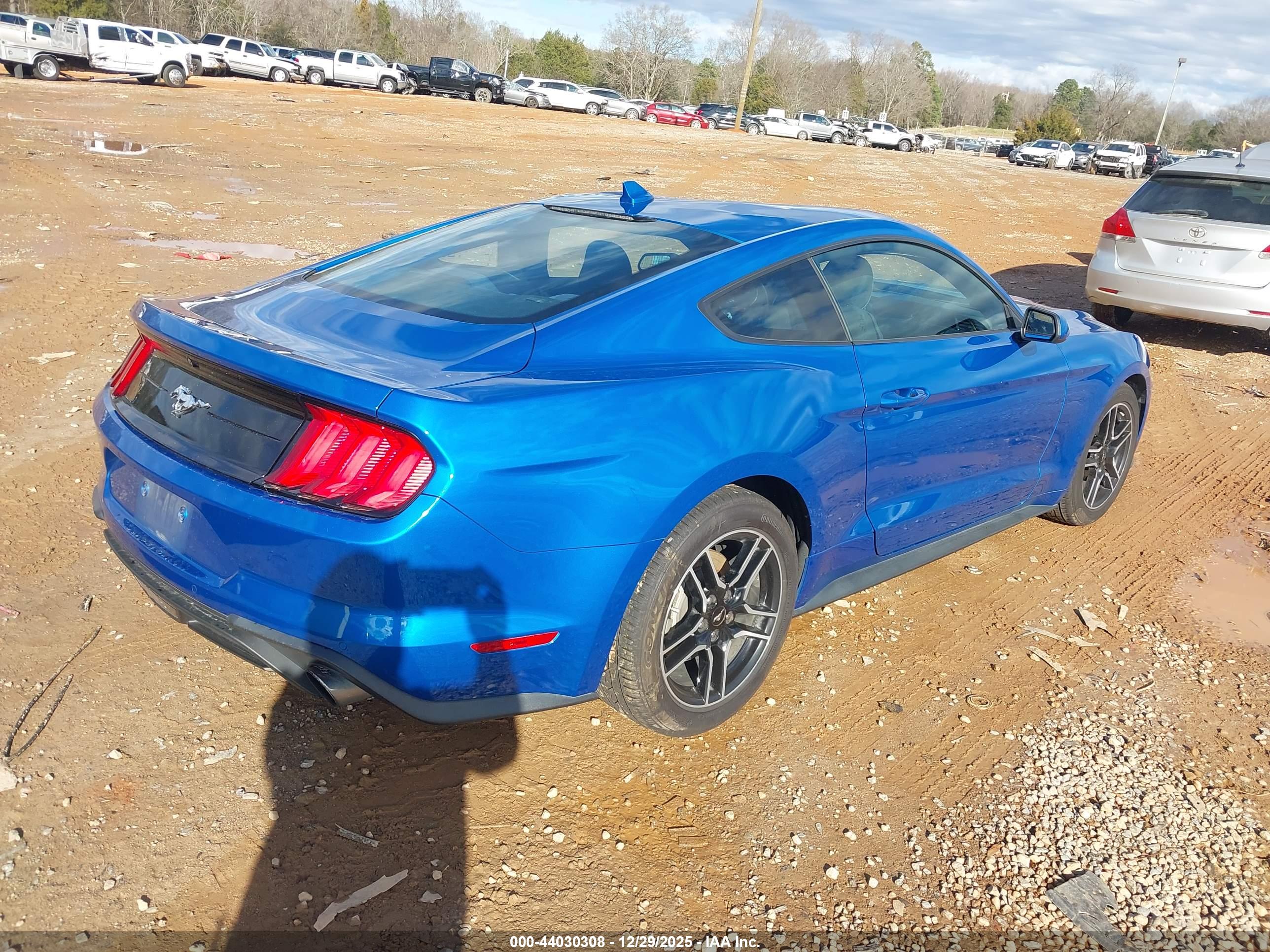 FORD MUSTANG image 4