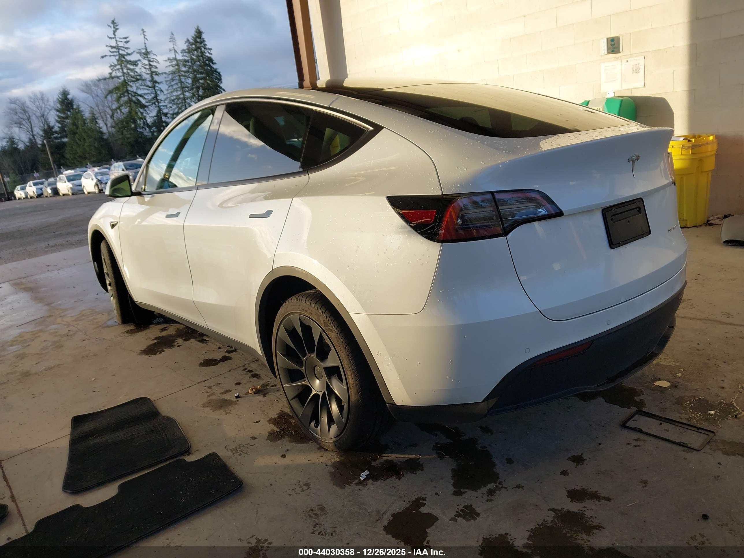 TESLA MODEL image 3