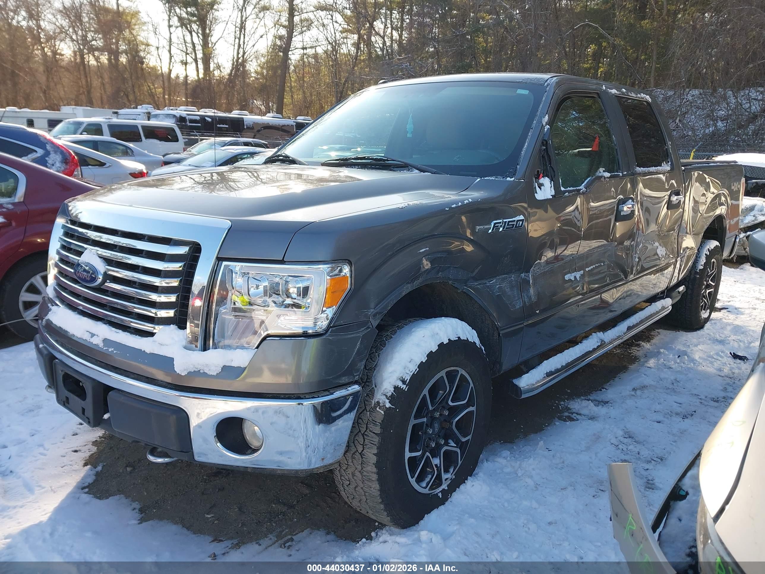 FORD F-150 image 2