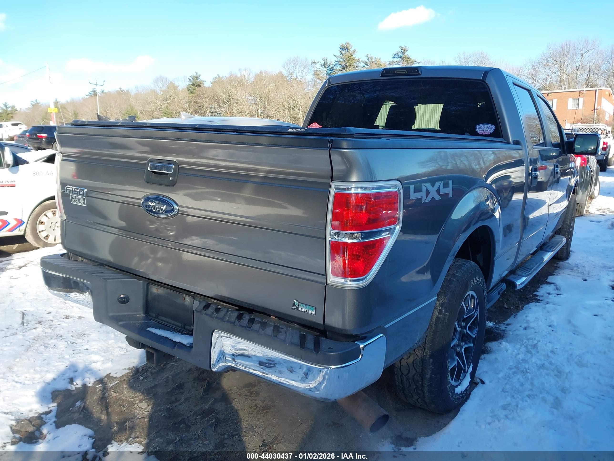FORD F-150 image 4