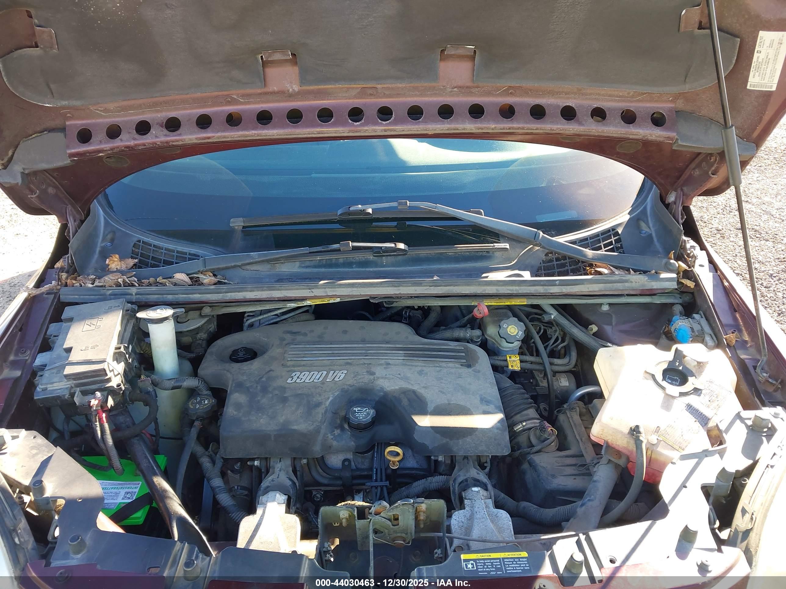 CHEVROLET UPLANDER image 10