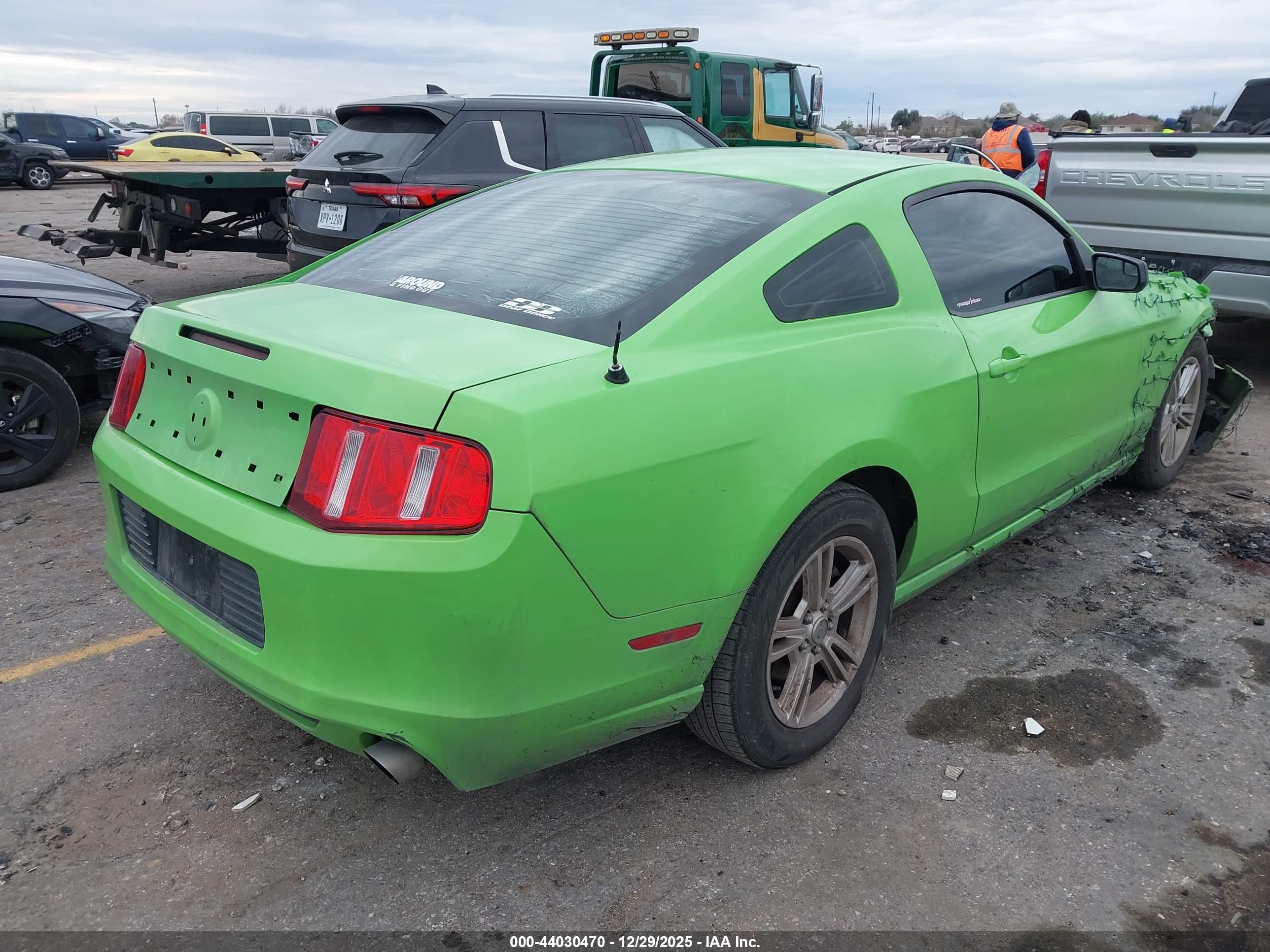 FORD MUSTANG image 4