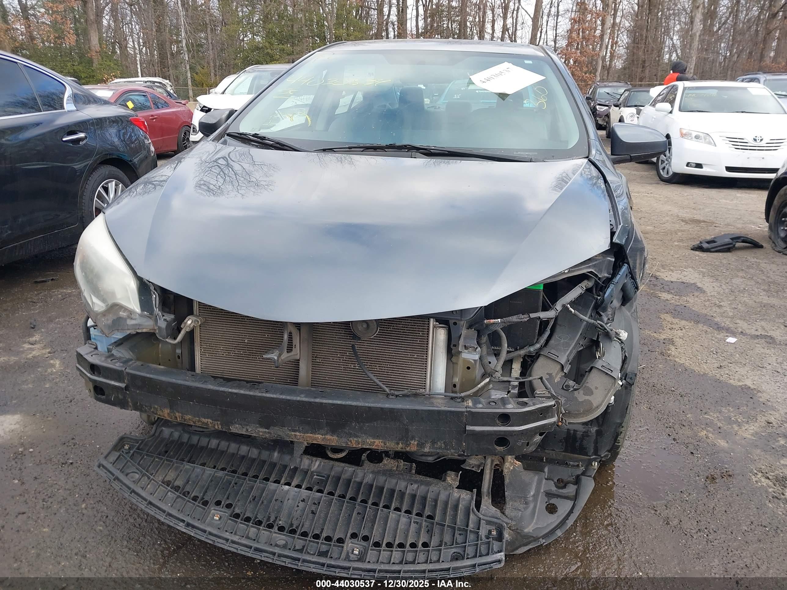 TOYOTA COROLLA image 6
