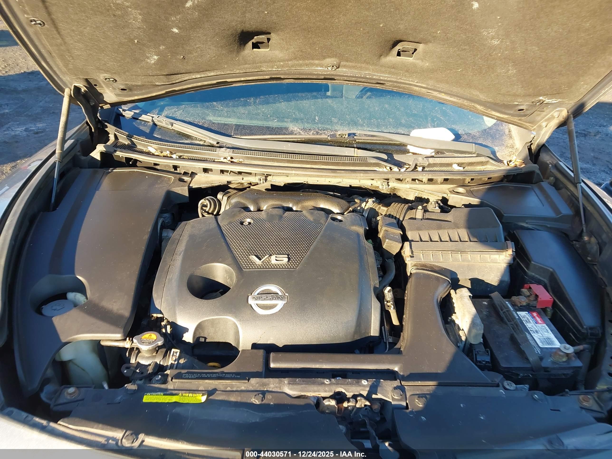 NISSAN MAXIMA image 10