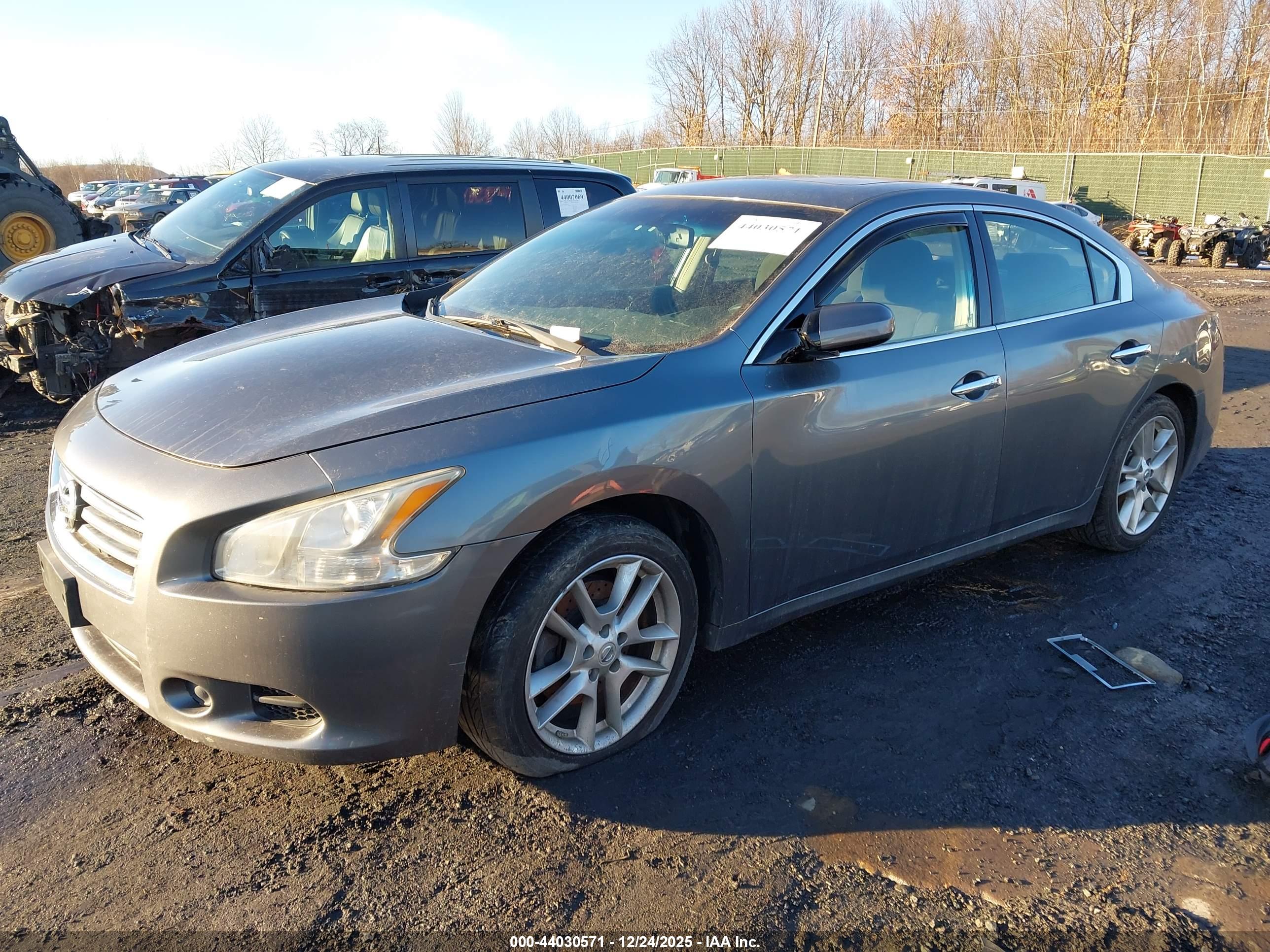 NISSAN MAXIMA image 2