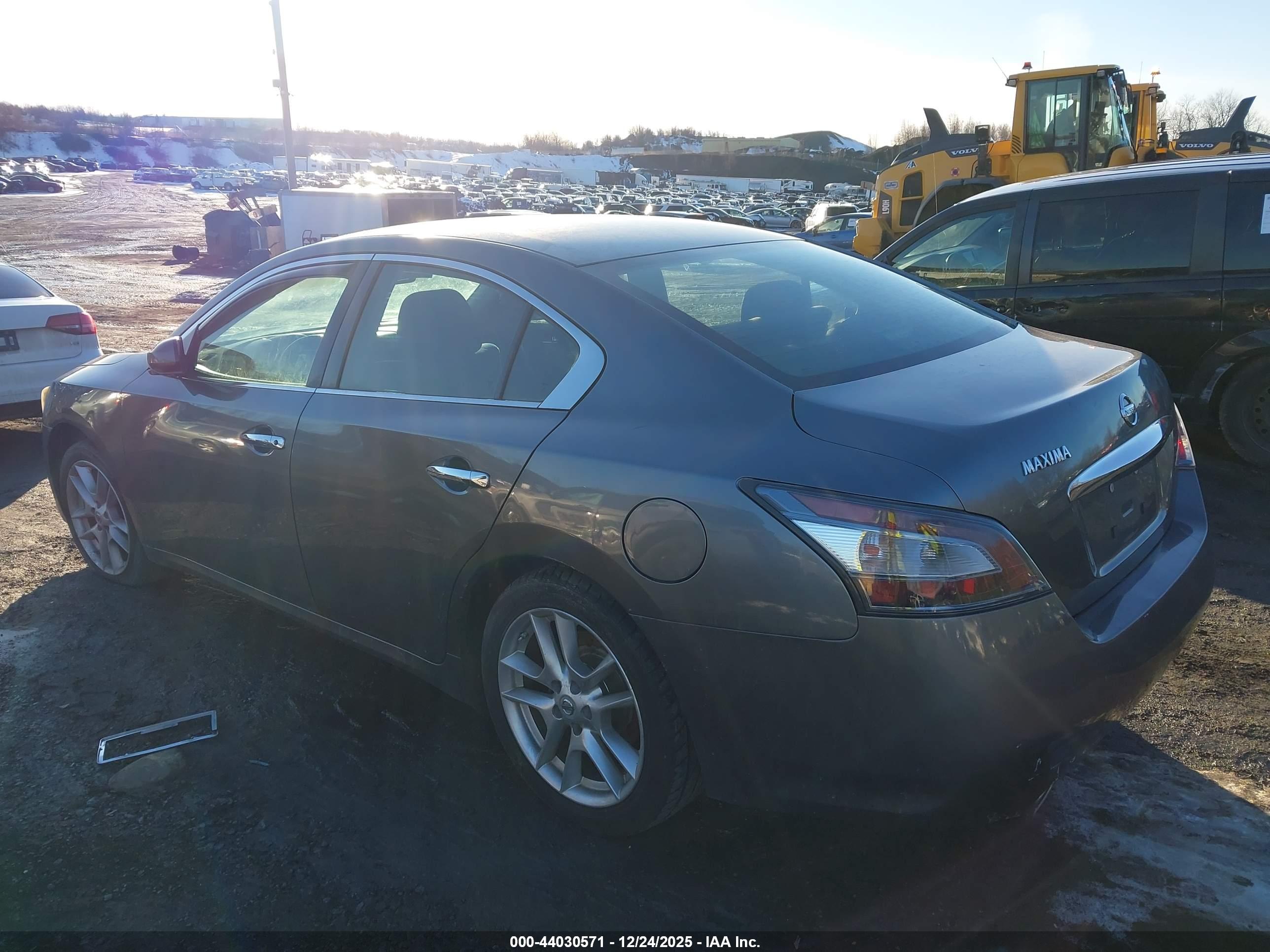NISSAN MAXIMA image 3