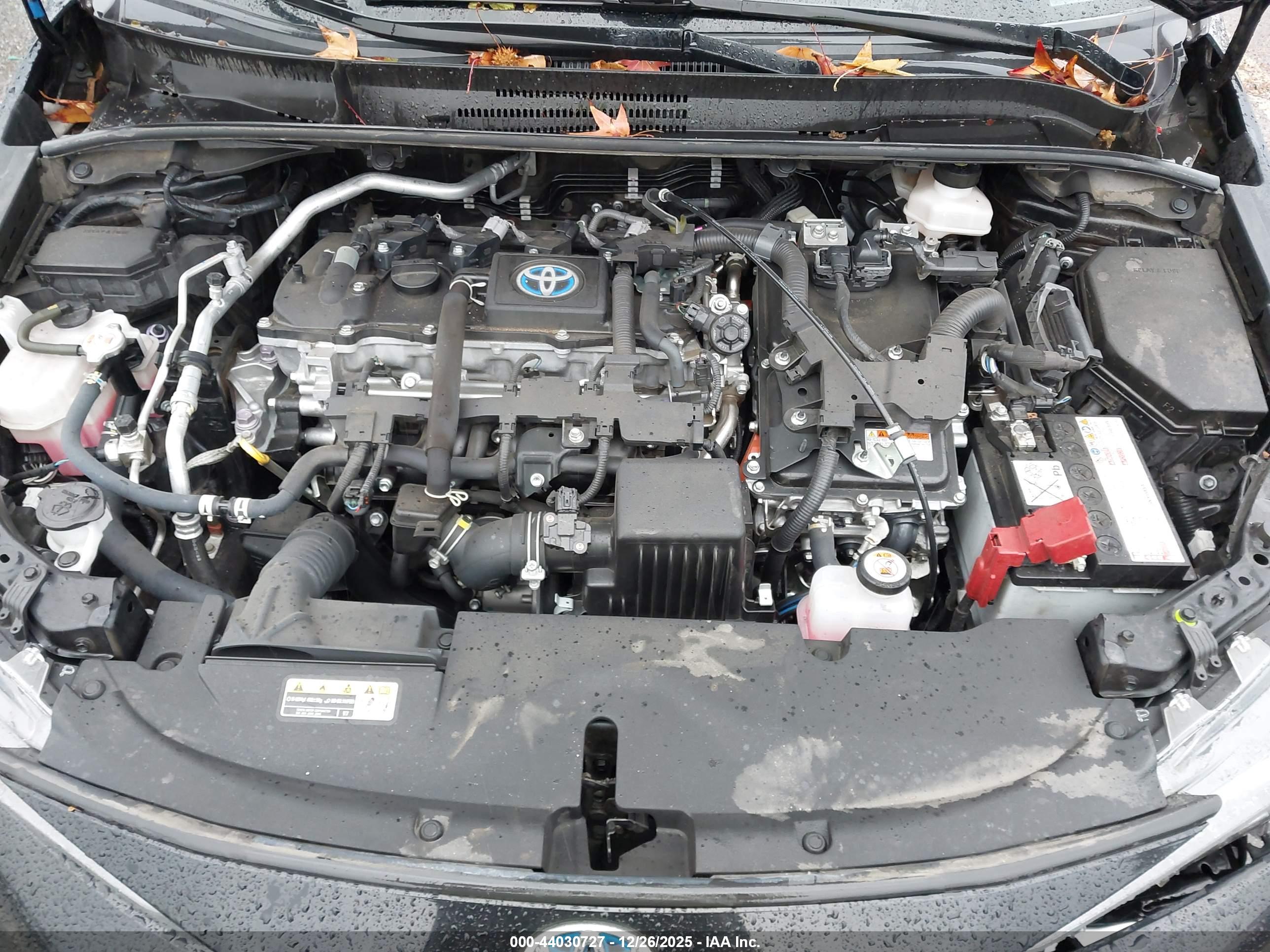 TOYOTA COROLLA image 10