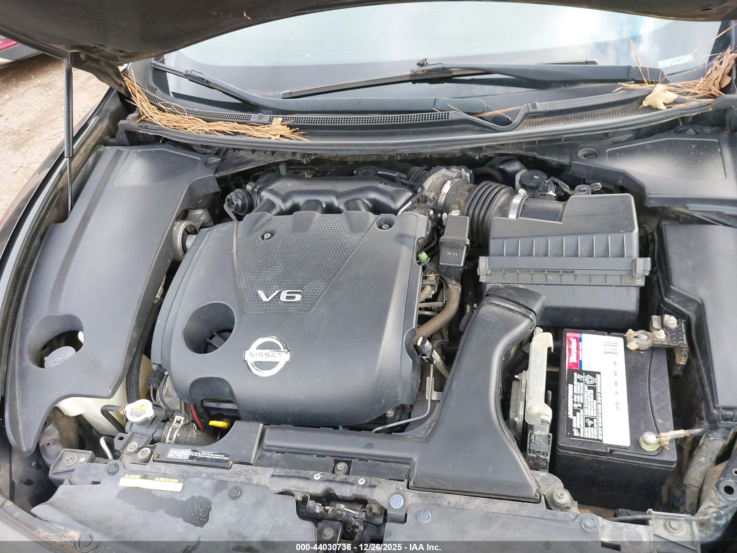 NISSAN MAXIMA image 10