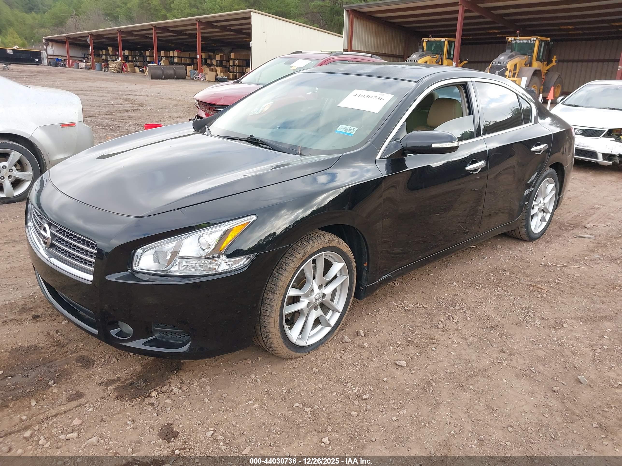 NISSAN MAXIMA image 2