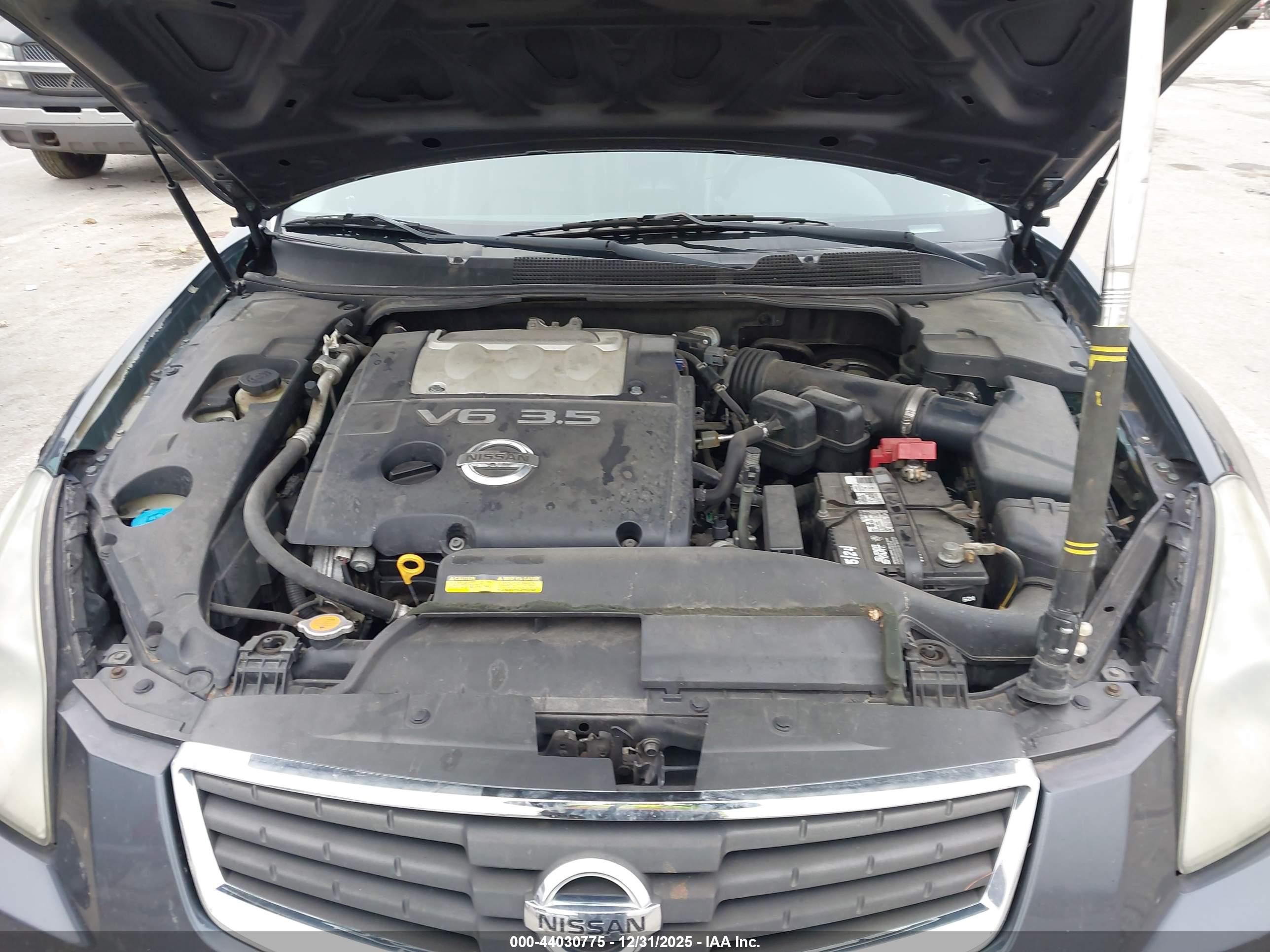 NISSAN MAXIMA image 10