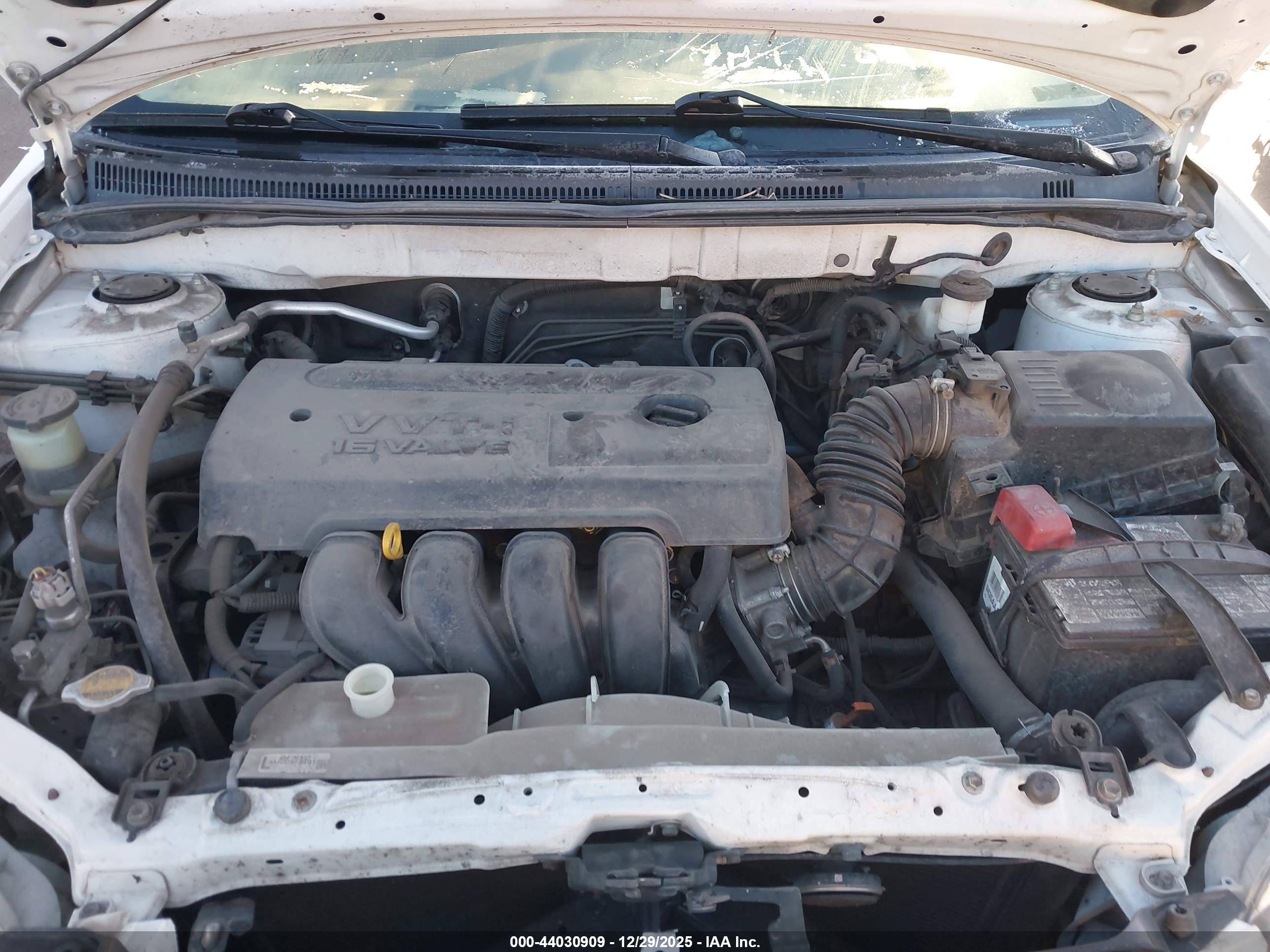 TOYOTA COROLLA image 10