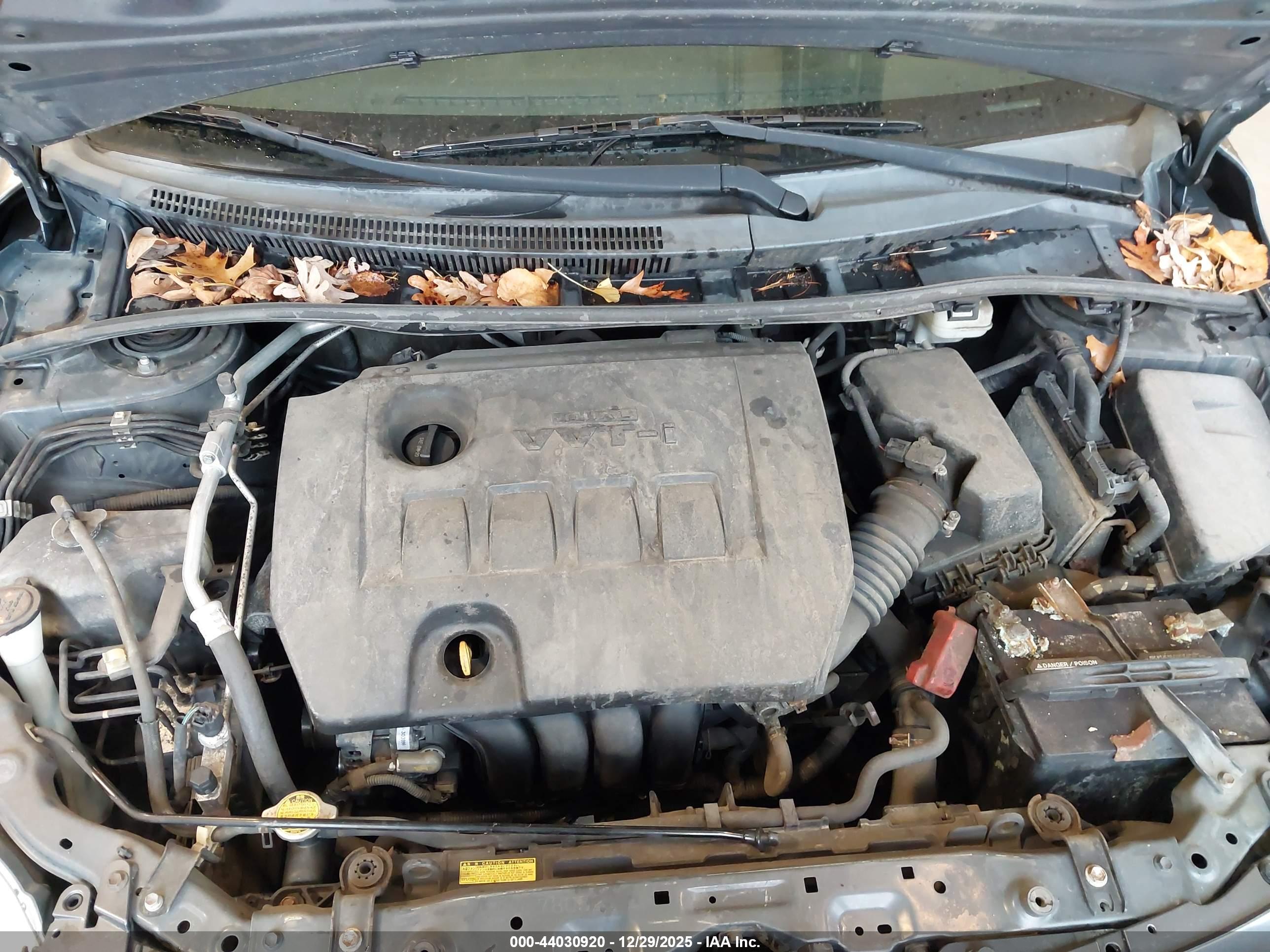 TOYOTA COROLLA image 10
